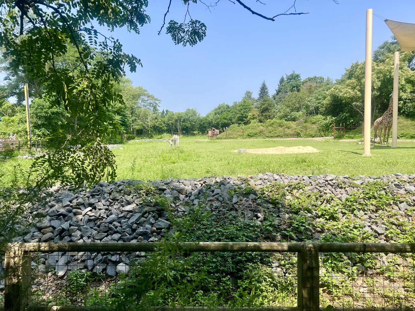 African Plains Exhibit