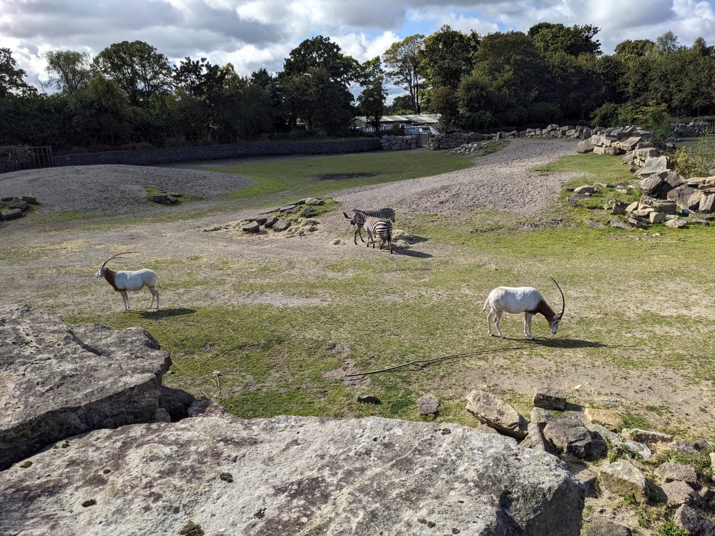 African Plains Exhibit