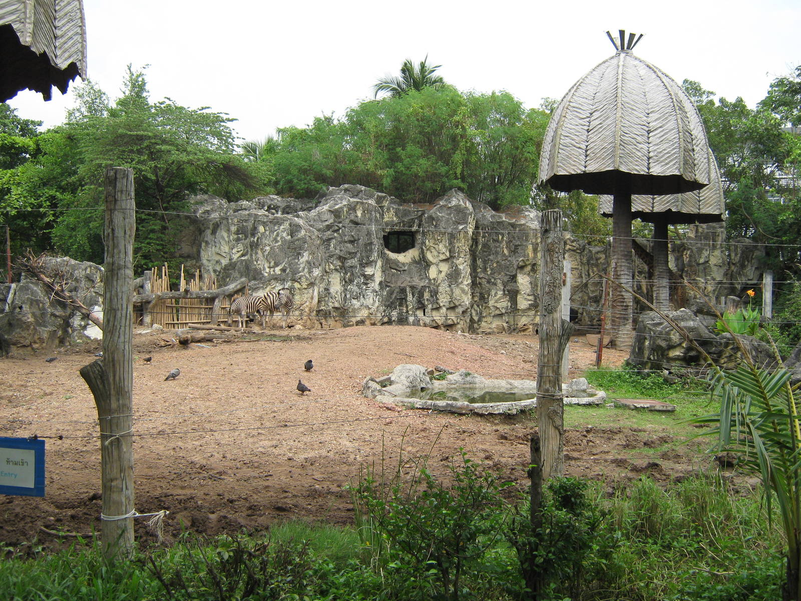 African plains exhibit