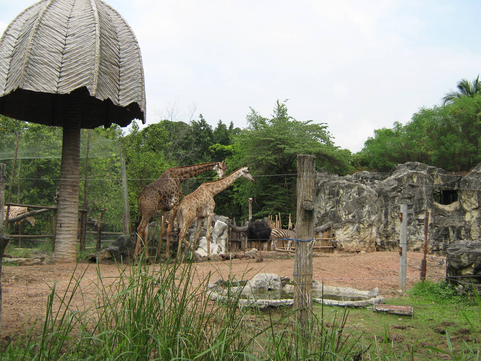 African plains exhibit