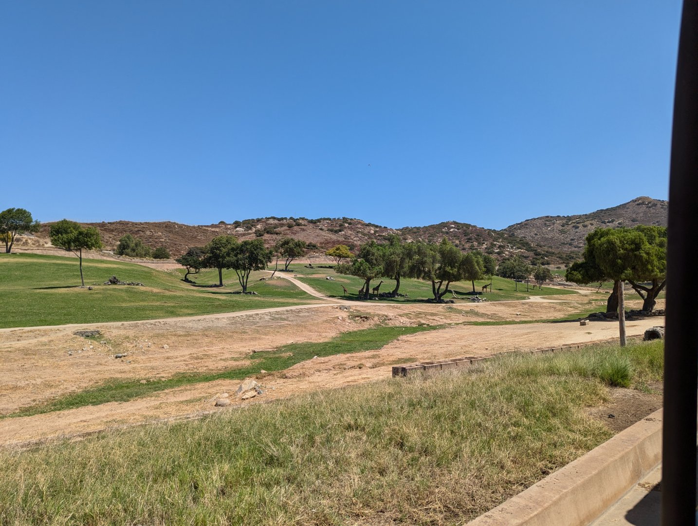African Plains from Africa Tram