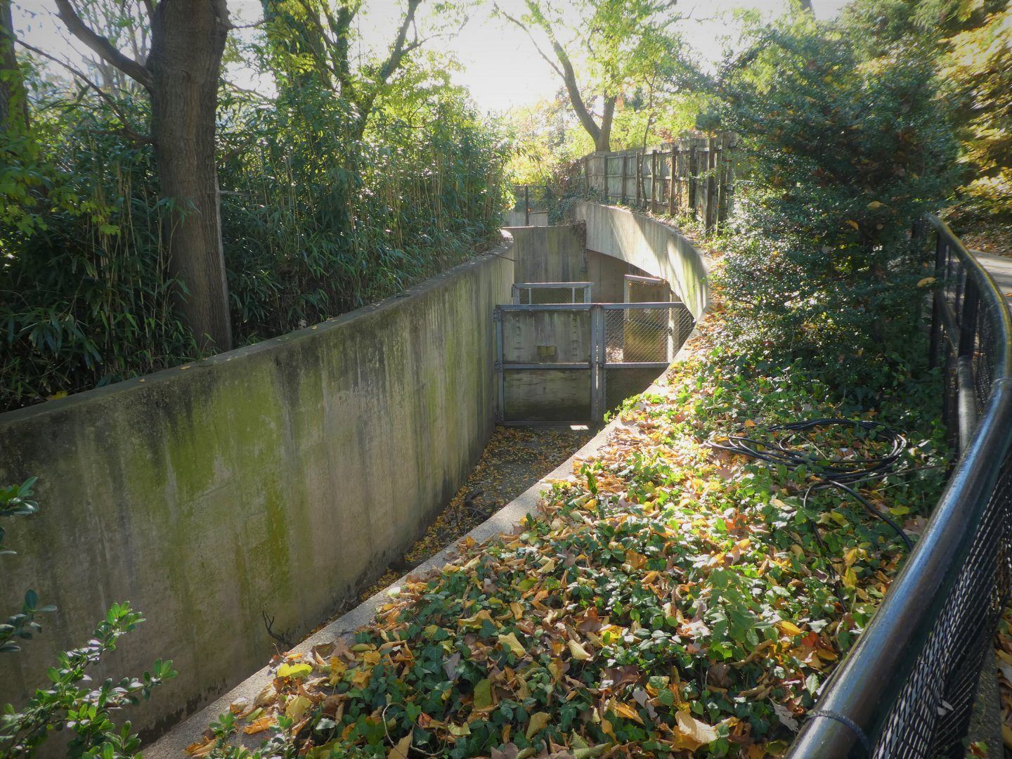 African Plains - Gazelle, Red River Hog, & Stork Barn