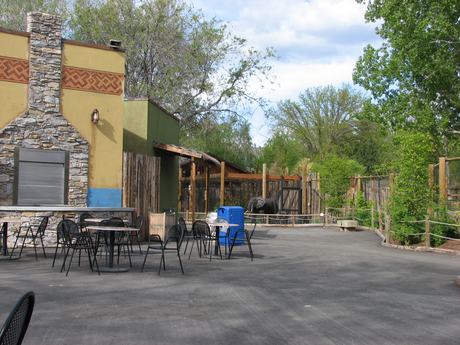 African Plains - General View
