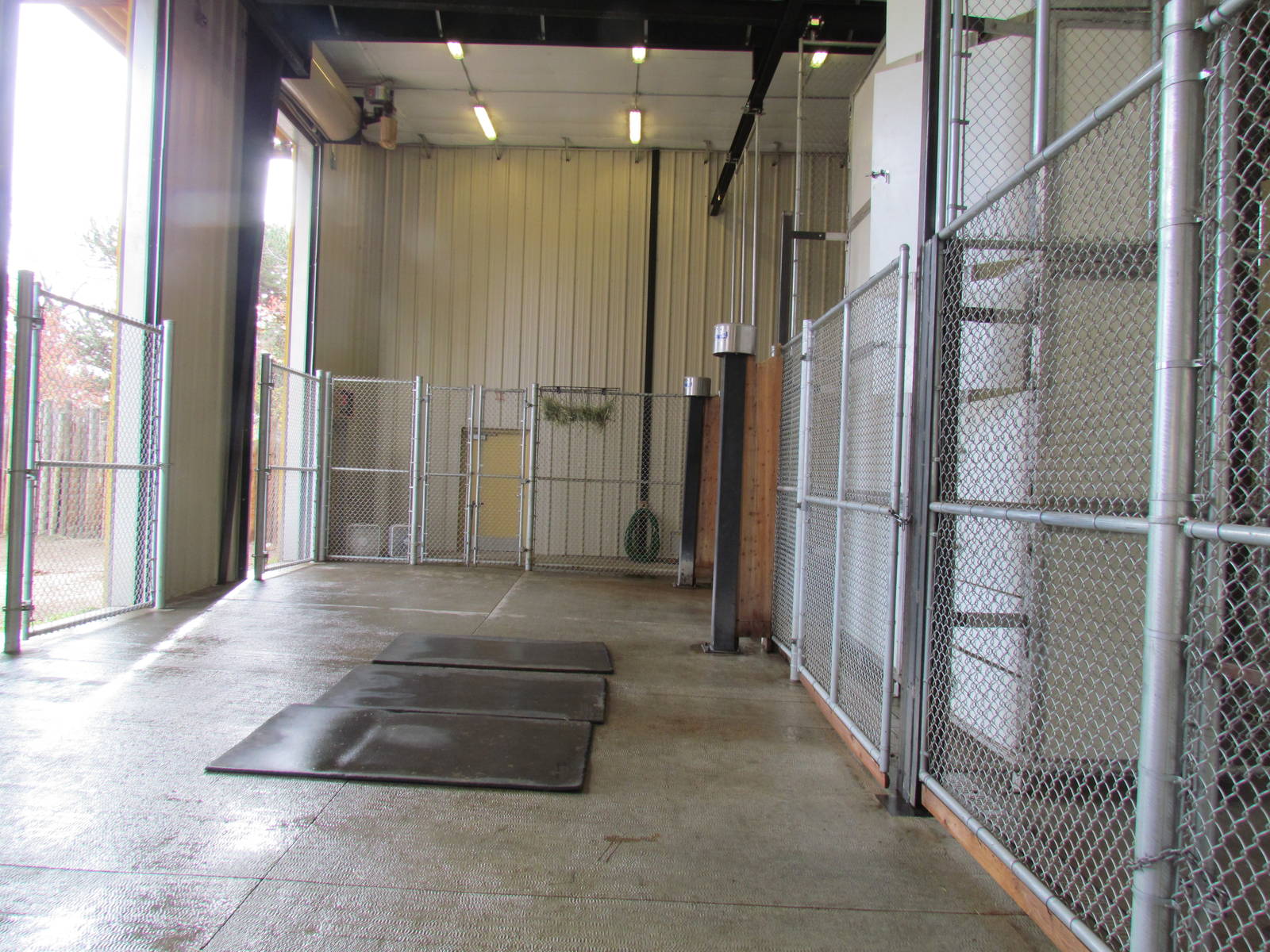 African Plains - Giraffe Barn Interior