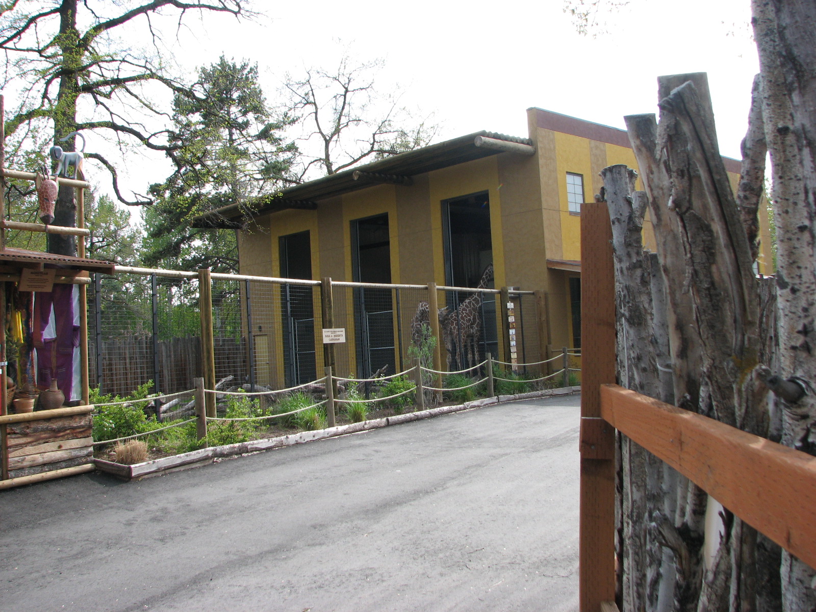 African Plains - Giraffe Barn