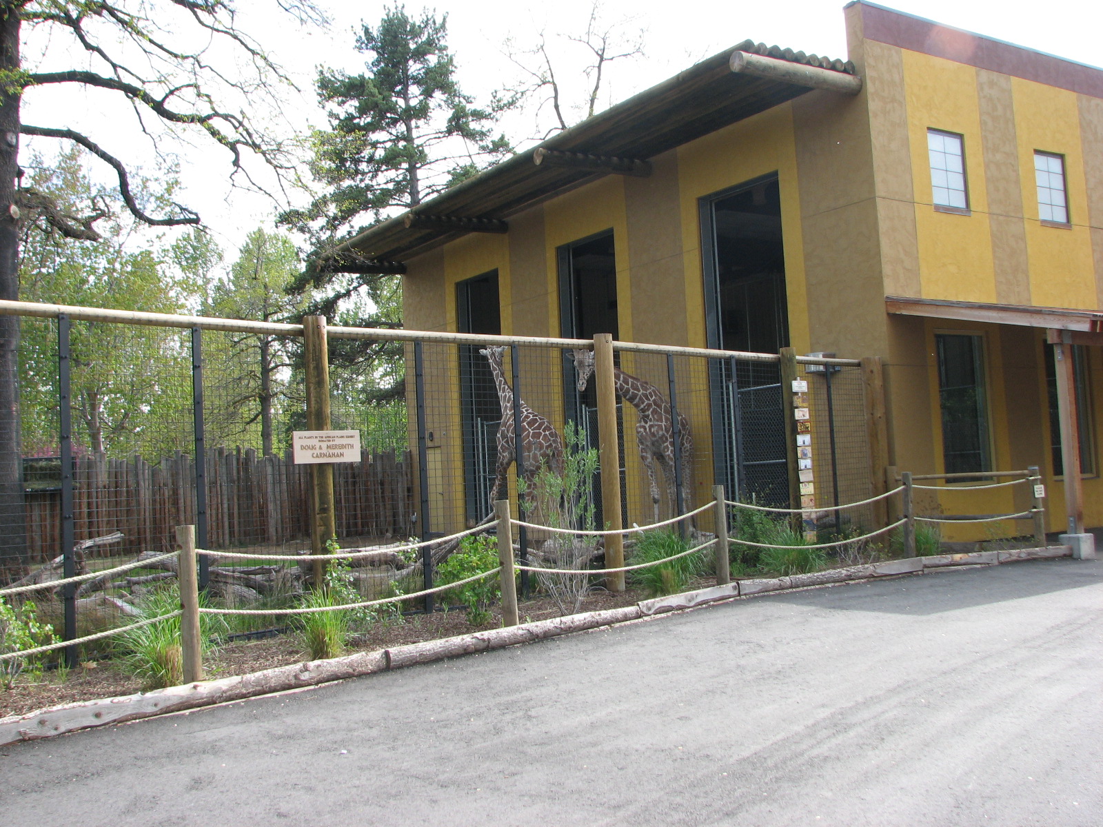 African Plains - Giraffe Barn