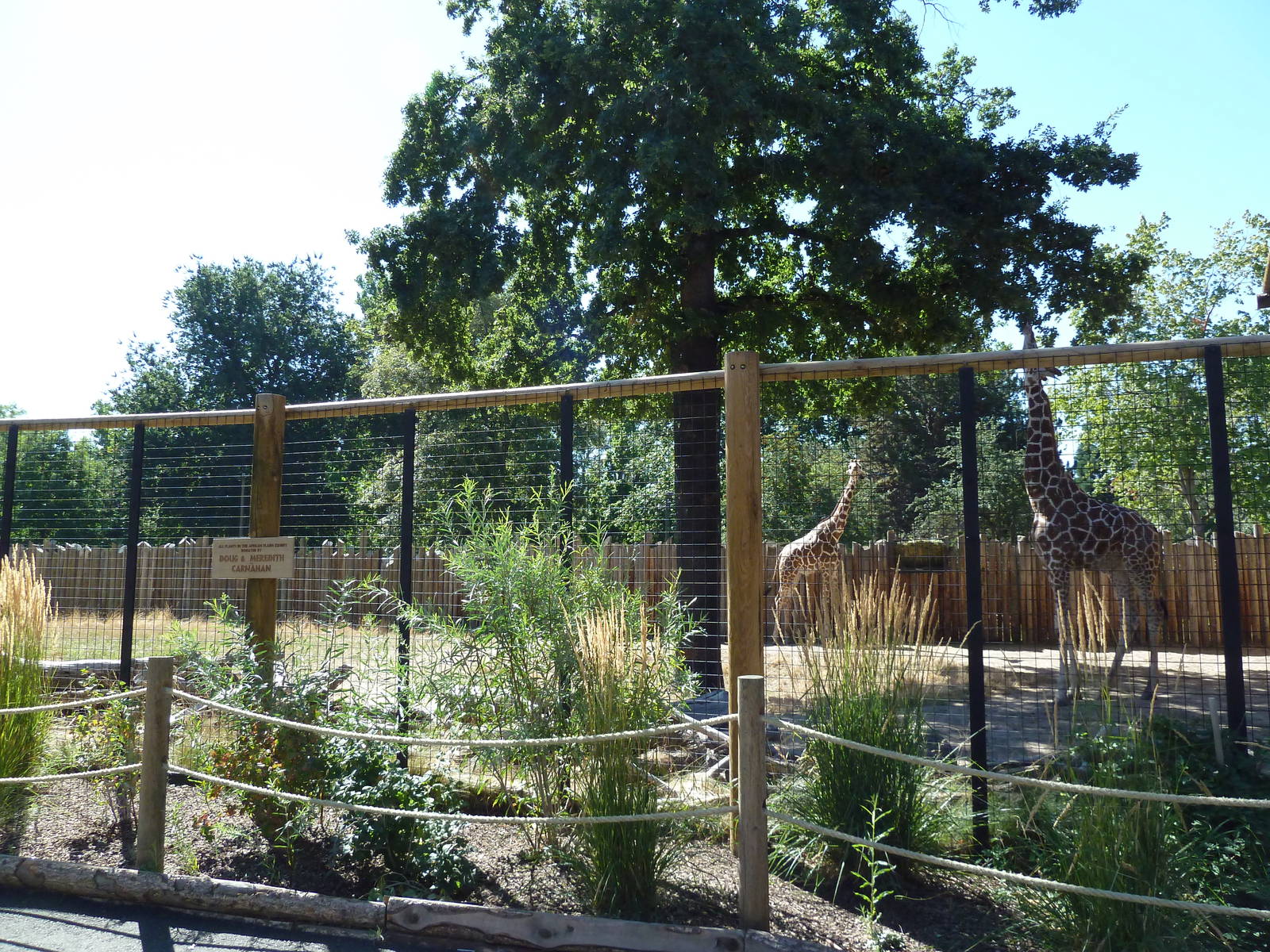 African Plains - Giraffe Exhibit