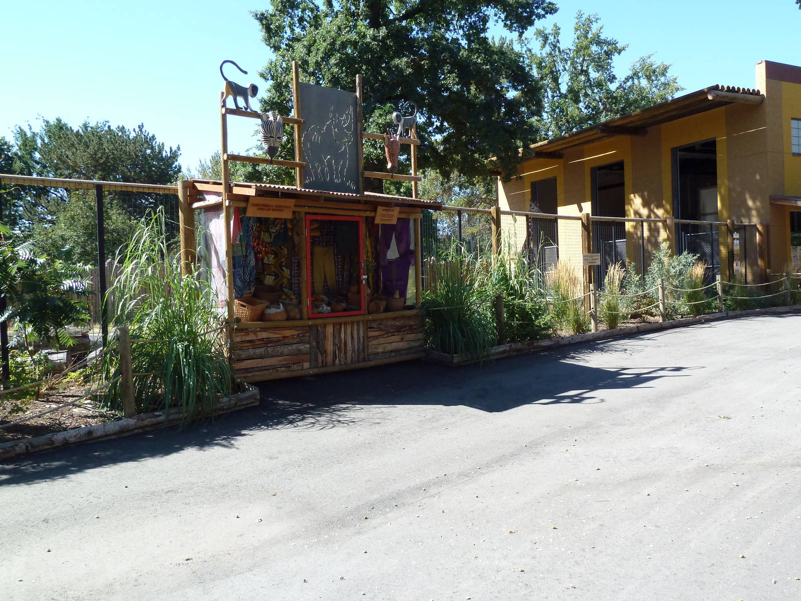 African Plains - Giraffe Exhibit