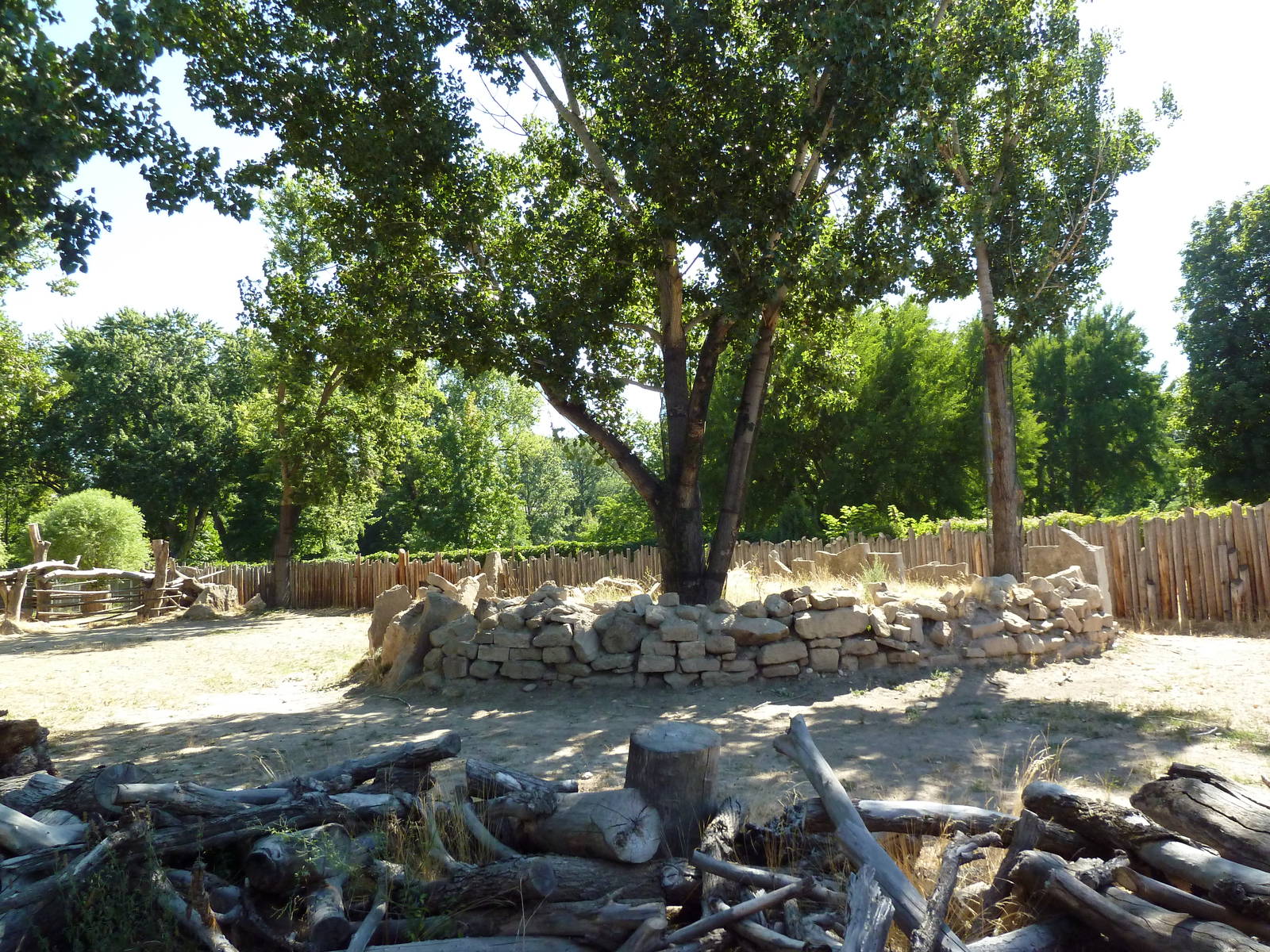 African Plains - Giraffe Exhibit
