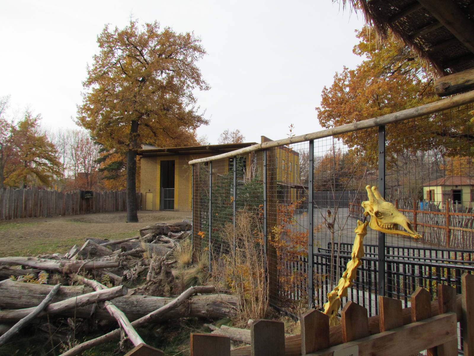 African Plains - Giraffe Exhibit