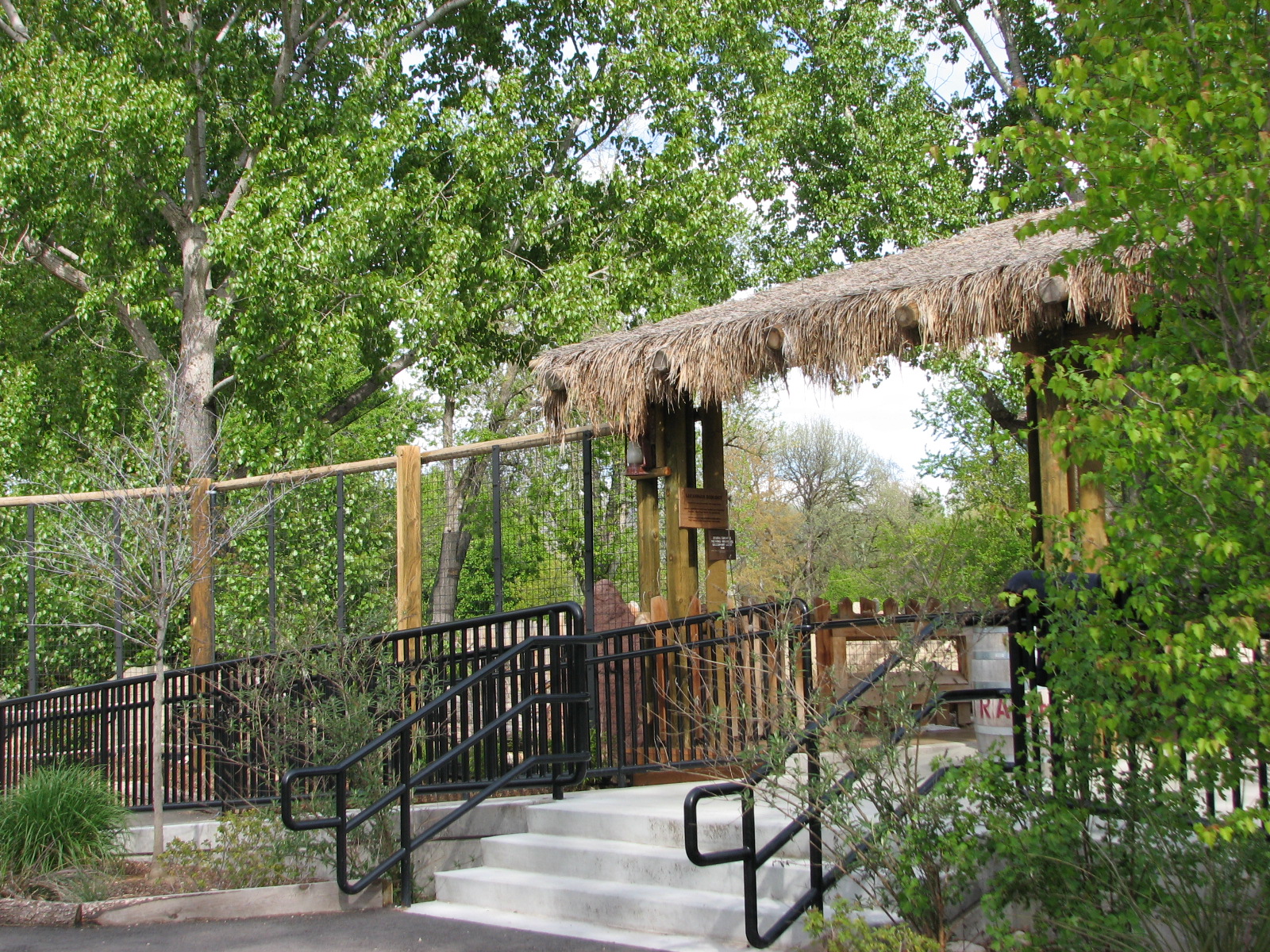 African Plains - Giraffe Viewing Deck