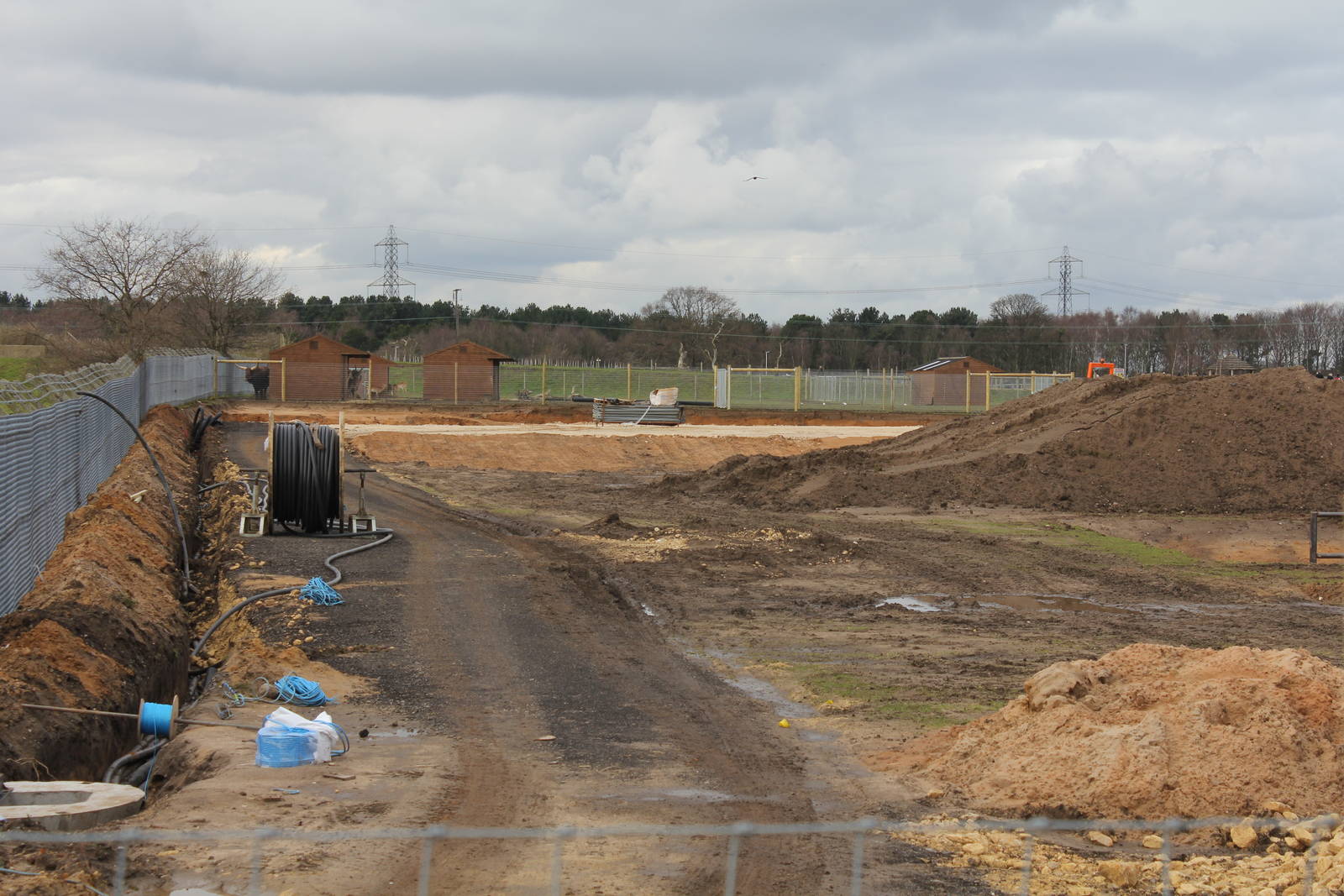 African plains hard standing 6-3-16