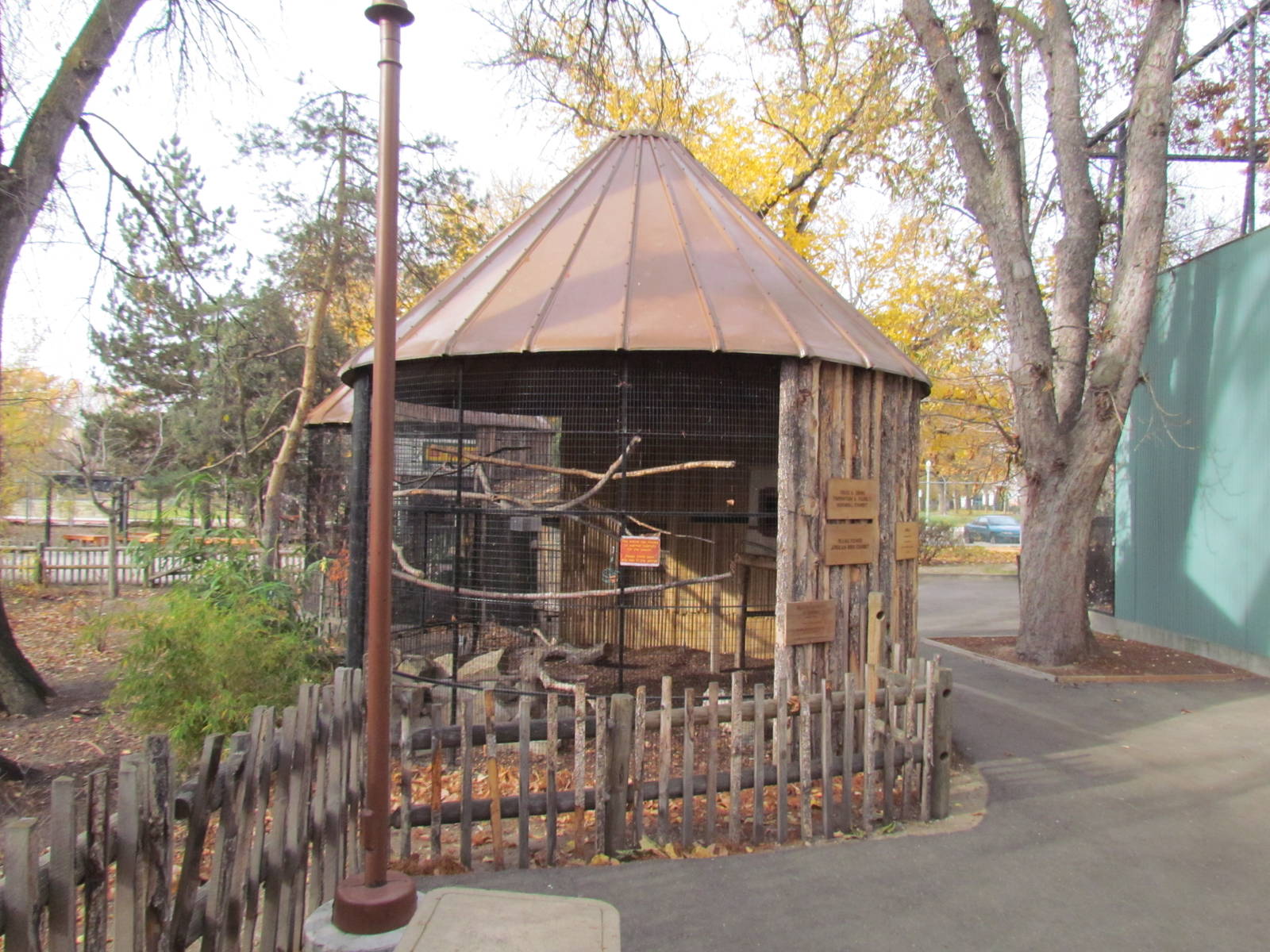 African Plains - Hornbill Exhibit