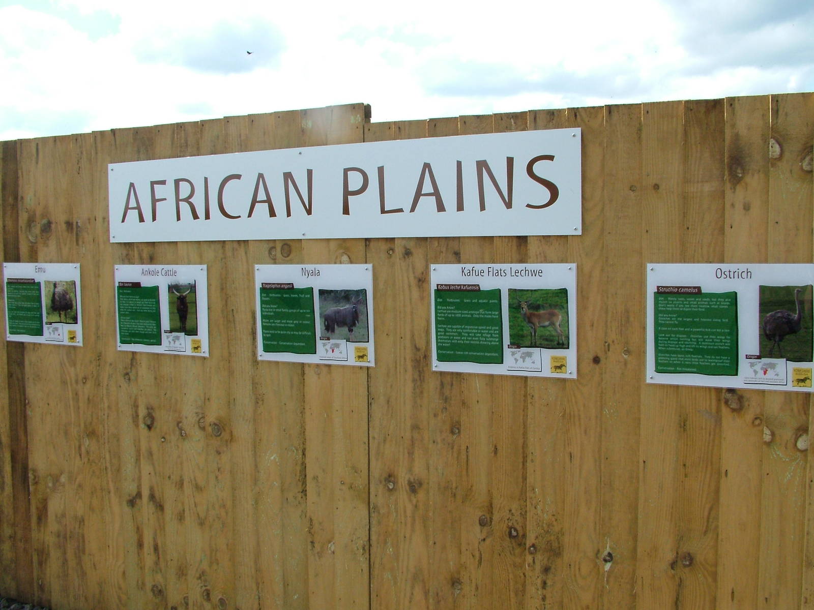African Plains labels at Yorkshire WP 25/04/09