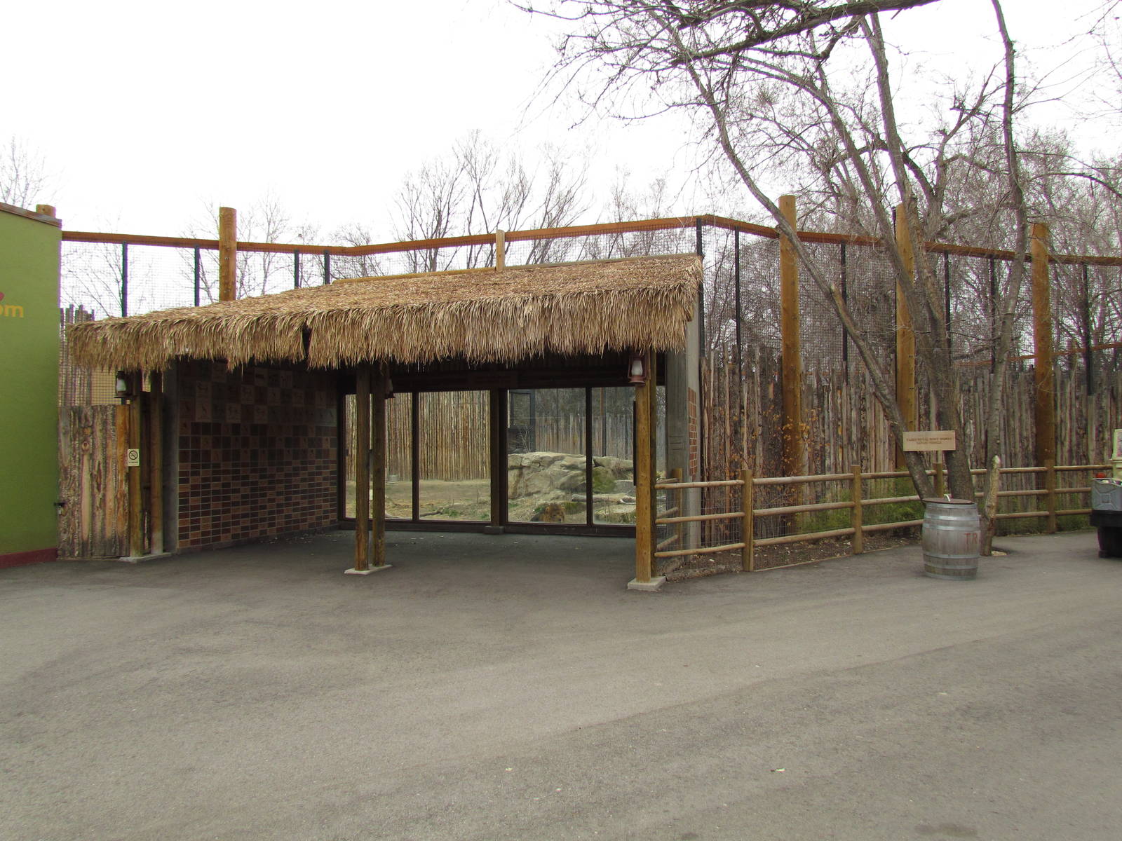 African Plains - Lion Exhibit