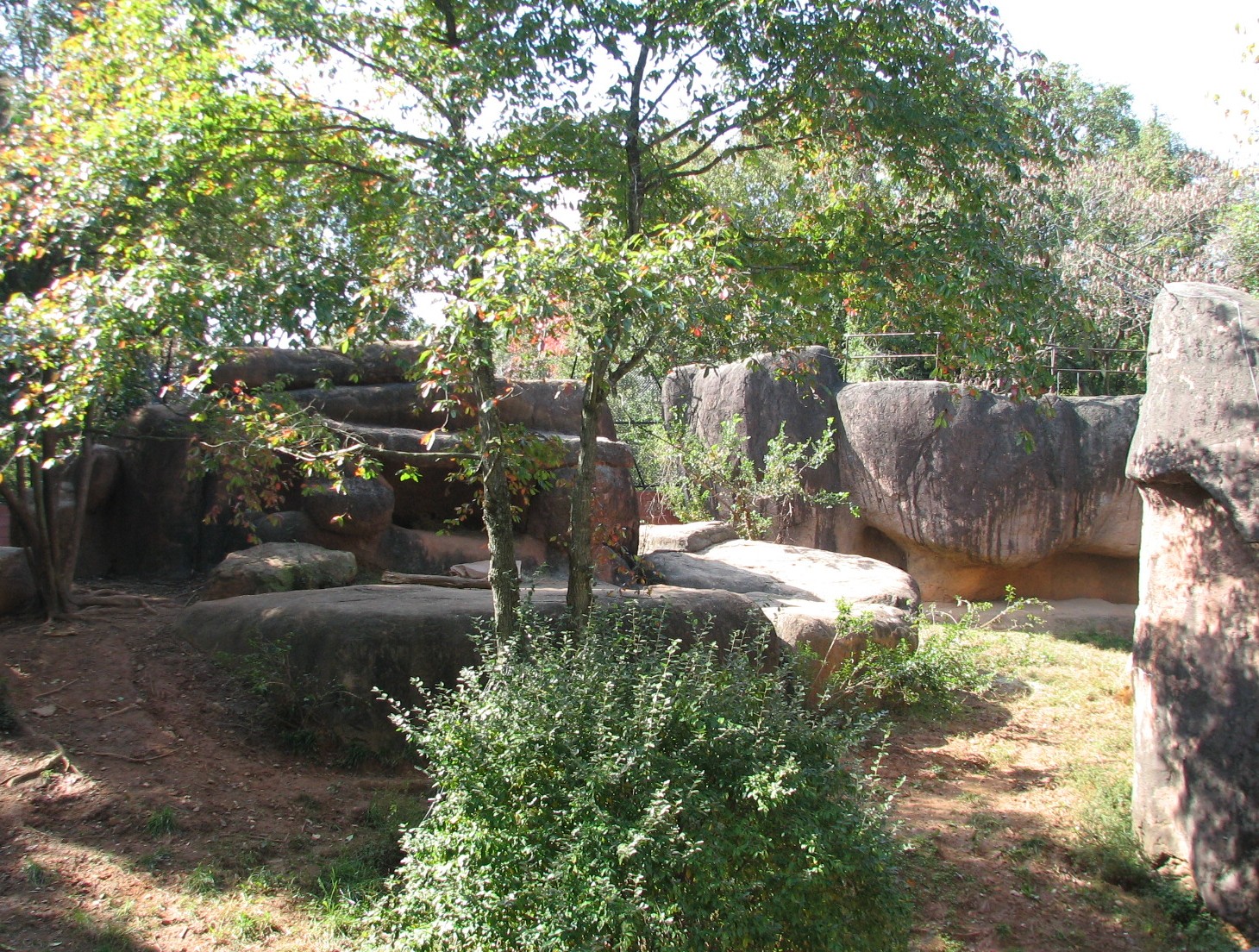 African Plains - Lion Exhibit