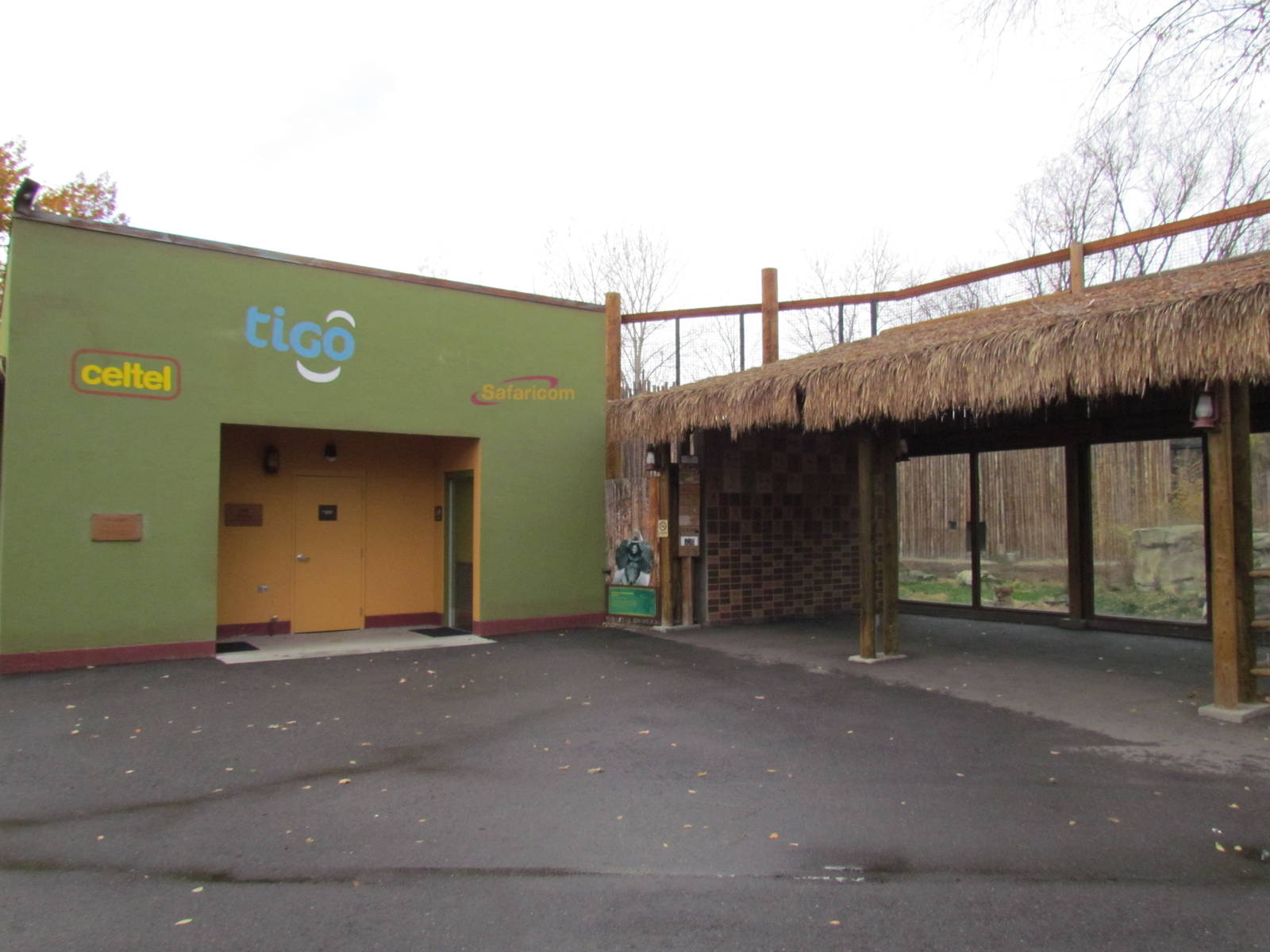 African Plains - Lion Viewing