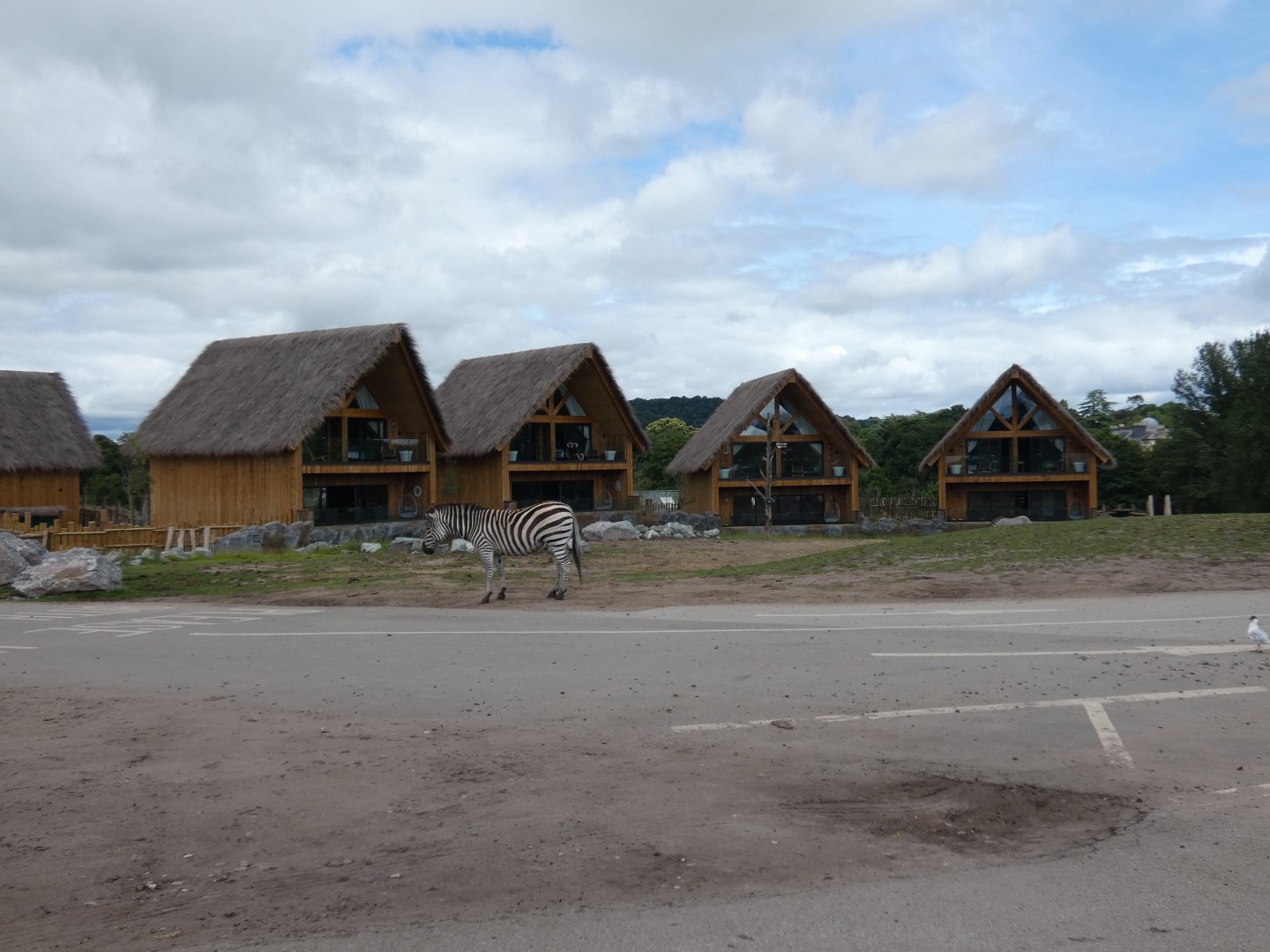 African Plains lodges