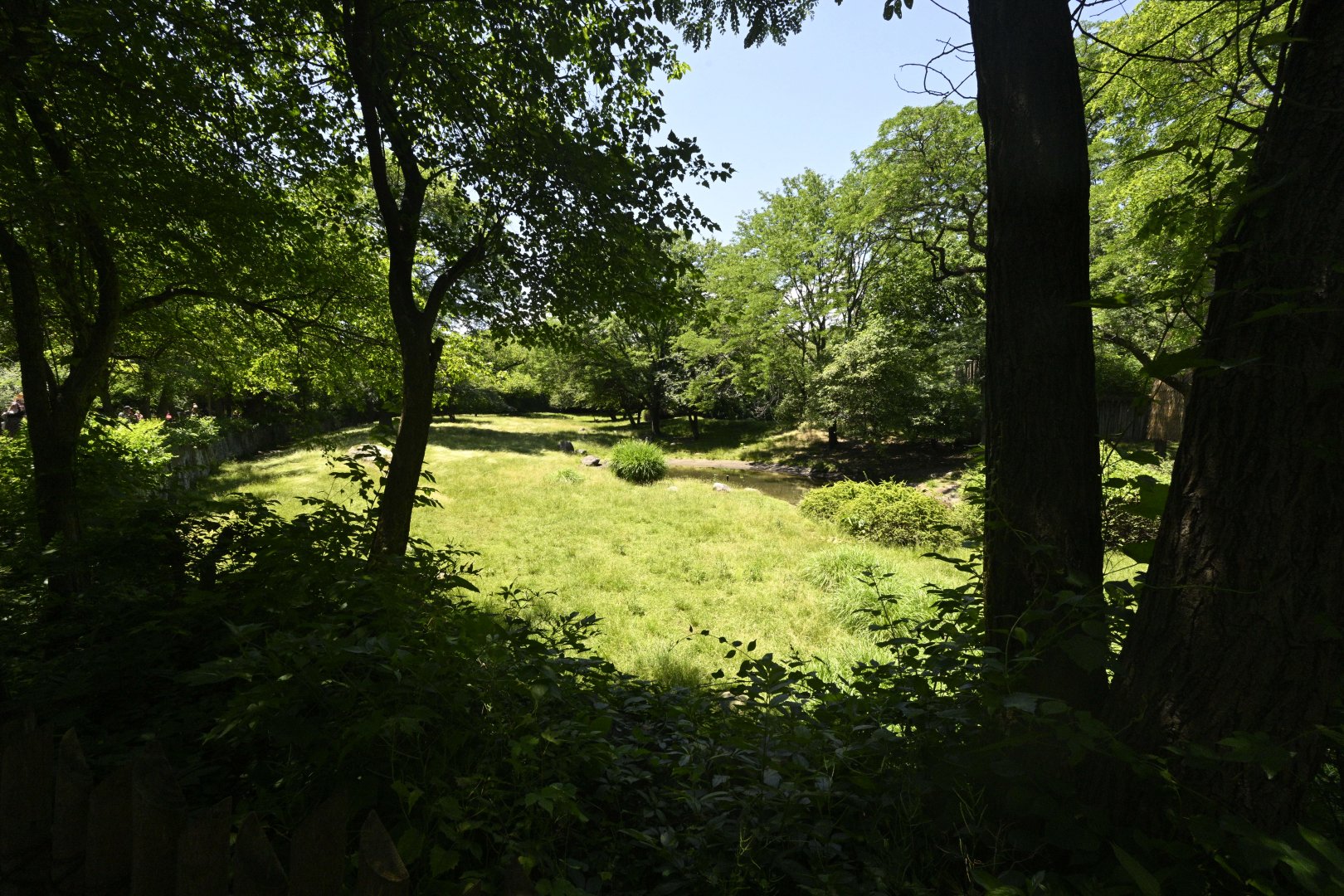 African Plains - Nyala/Kudu/Gazelle Exhibit