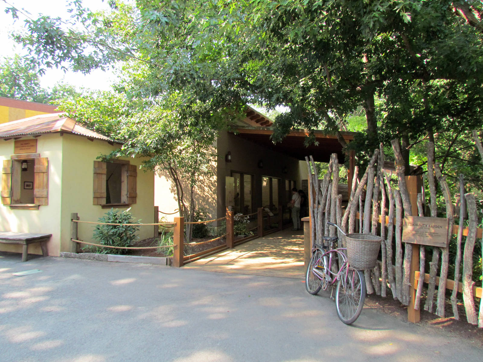 African Plains - Patas Monkey Indoor Exhibit