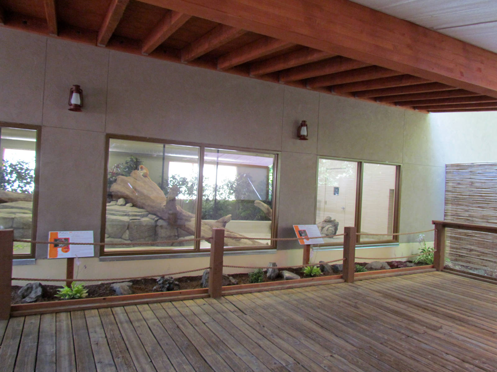 African Plains - Patas Monkey Indoor Exhibit
