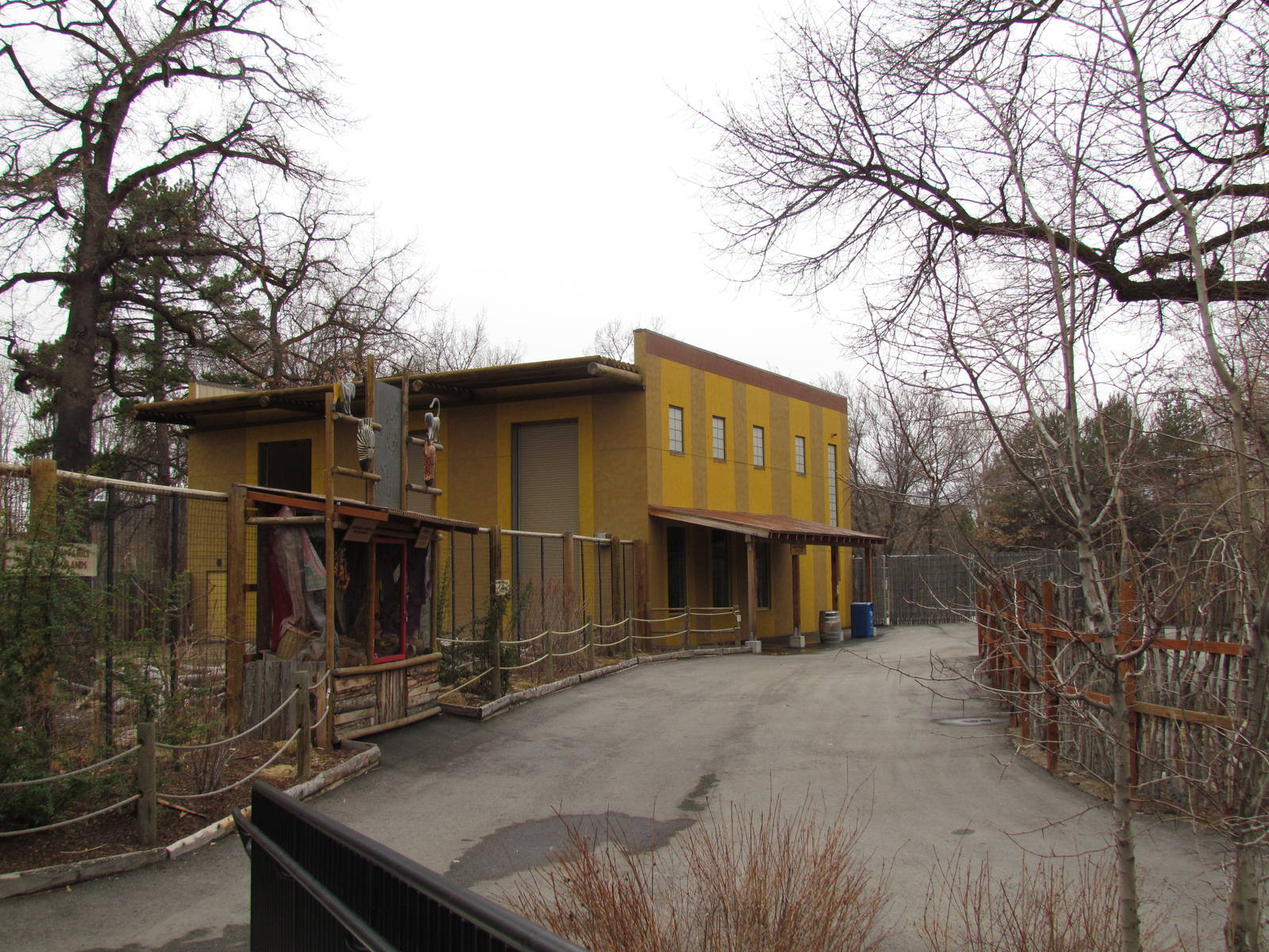 African Plains - Reticulated Giraffe Exhibit