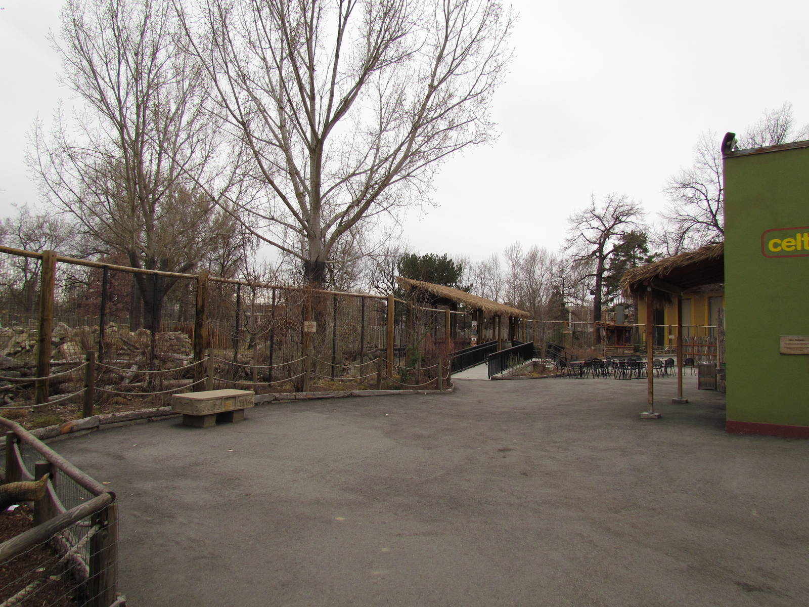 African Plains - Reticulated Giraffe Exhibit