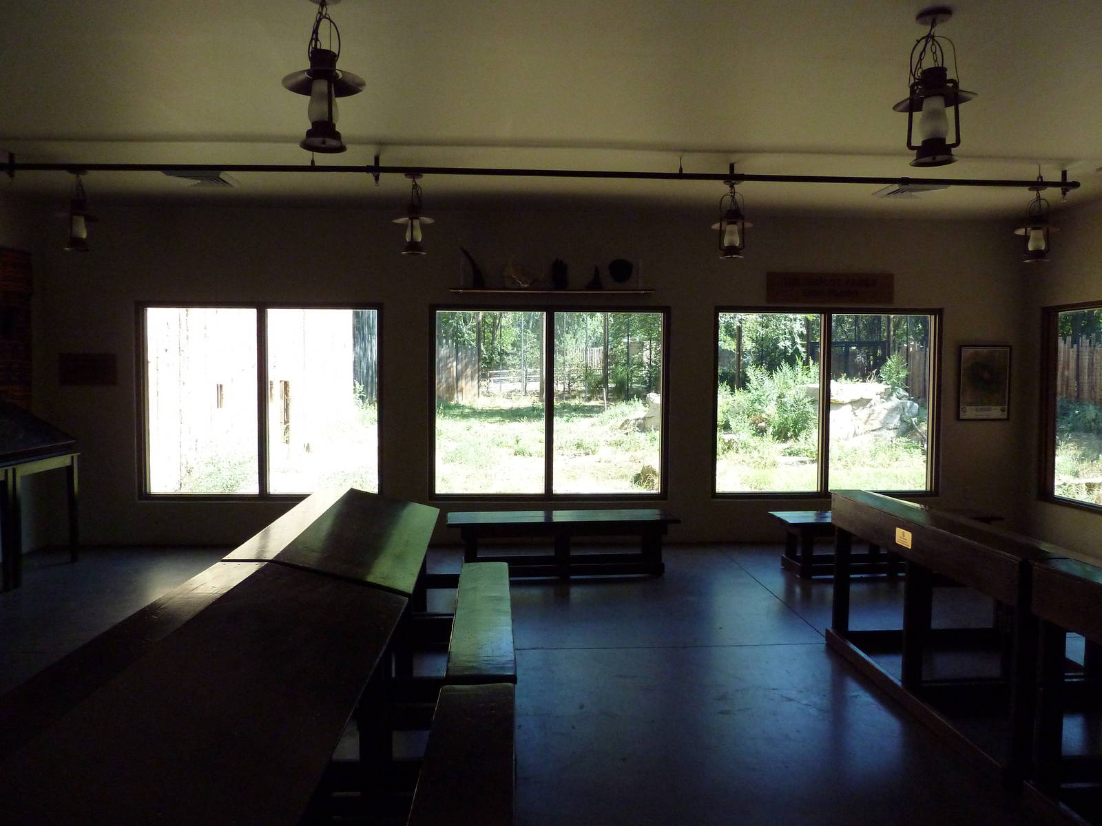 African Plains - Schoolhouse + Lion Exhibit