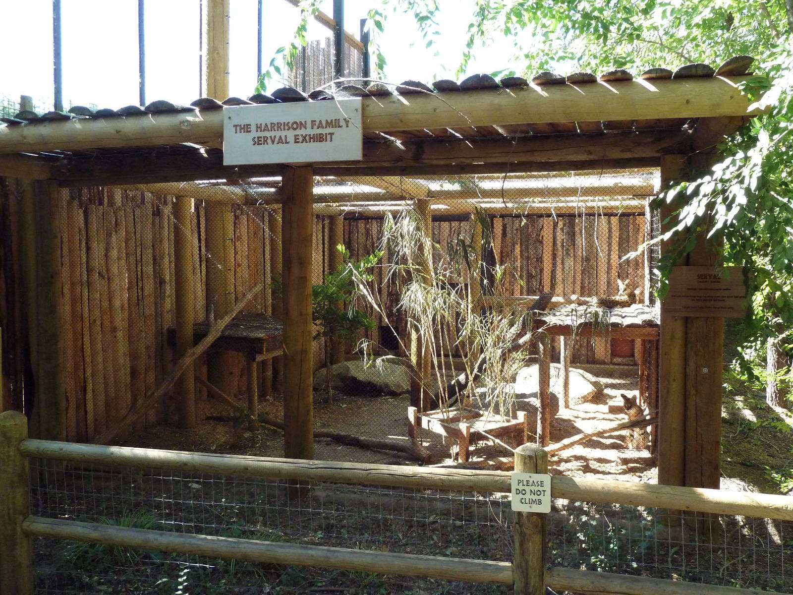 African Plains - Serval Exhibit
