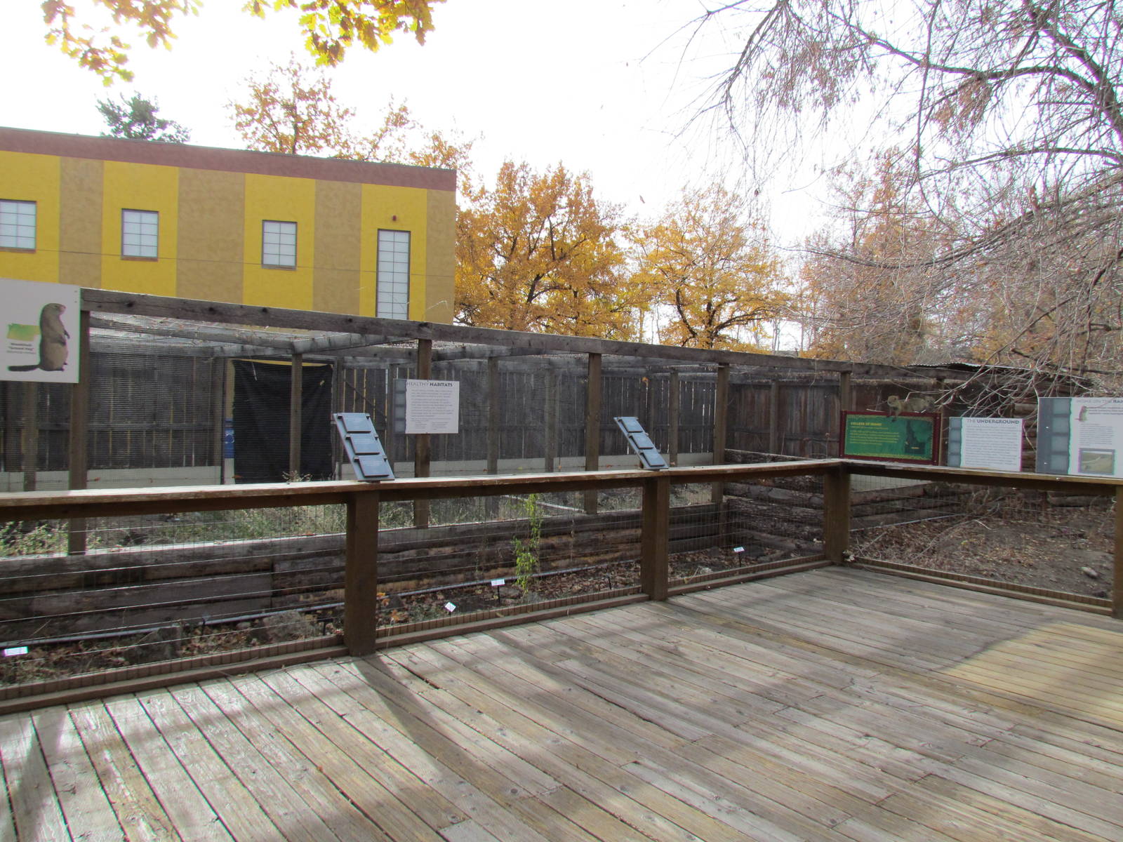 African Plains - Southern Idaho Ground Squirrels?