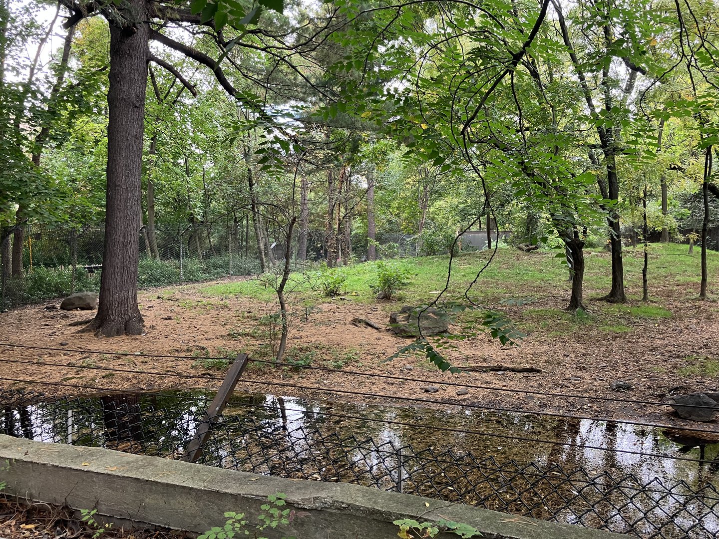 African Plains - Spotted Hyena Exhibit