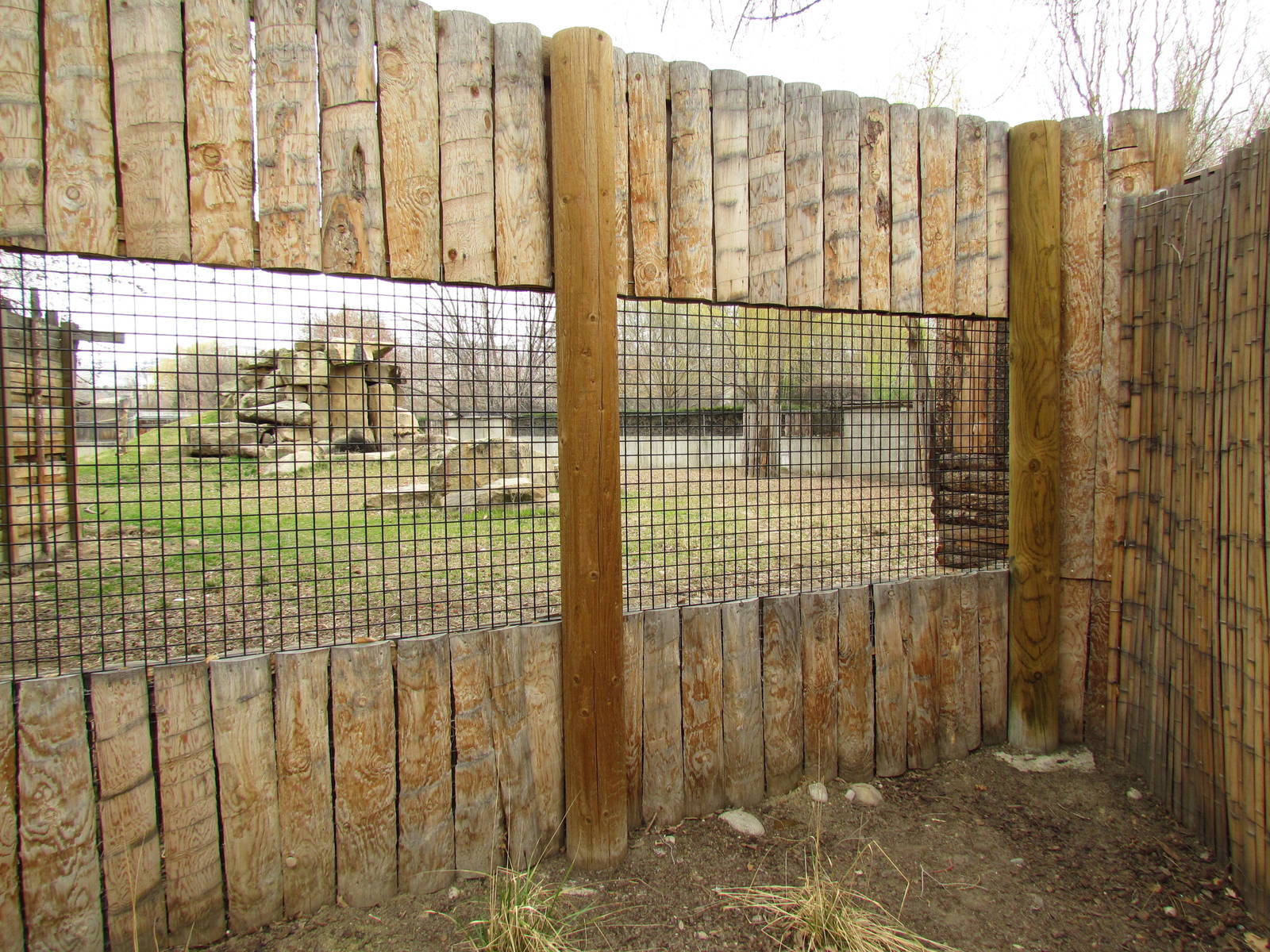 African Plains - Striped Hyena Exhibit