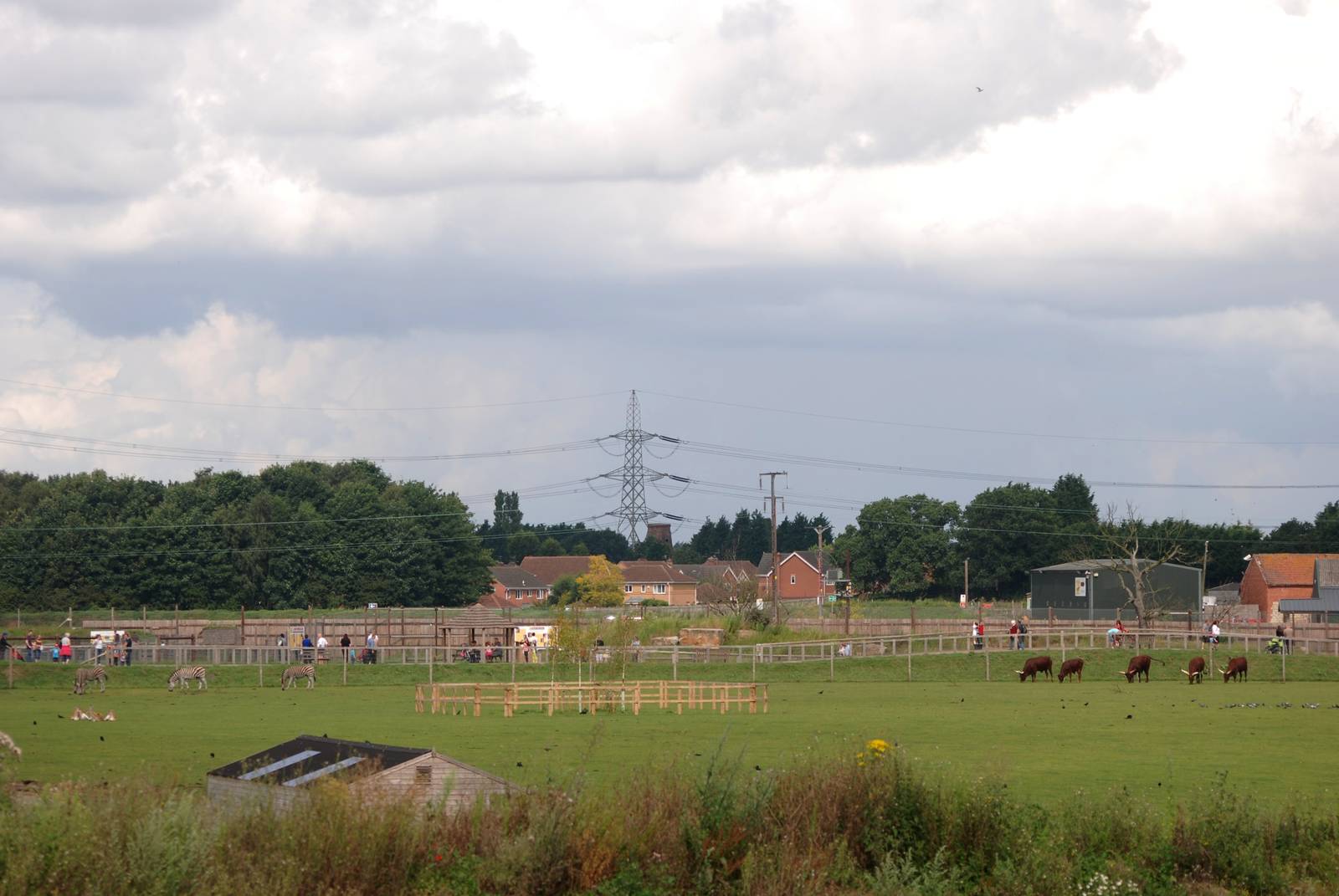 African Plains View at Yorkshire WP, 05/08/12