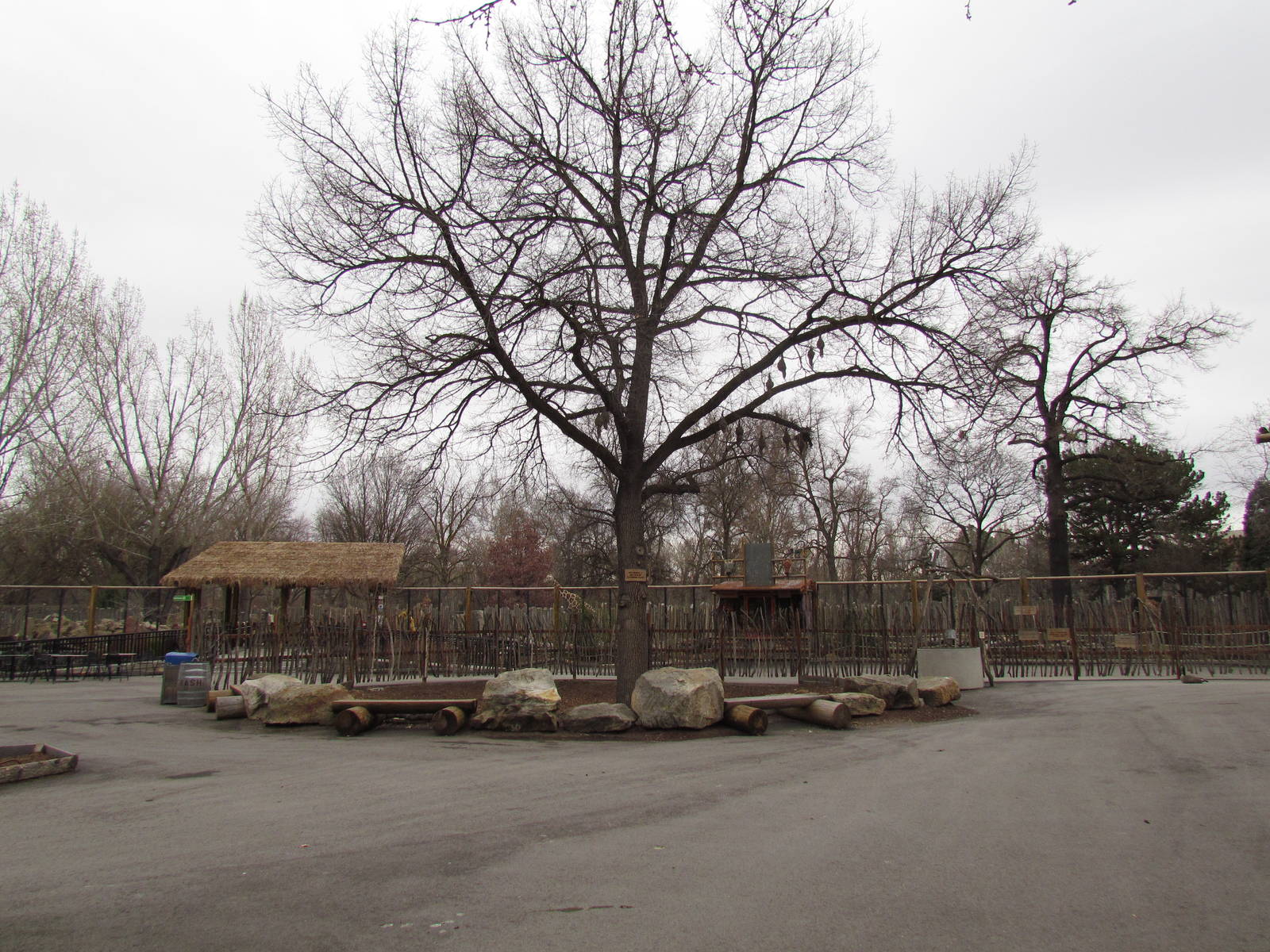 African Plains - Village Plaza