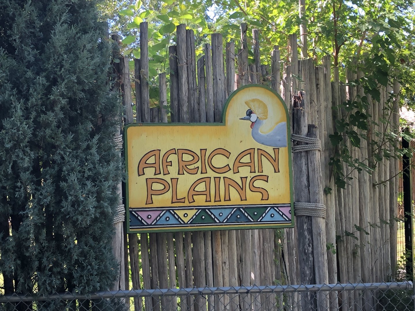 African Plains