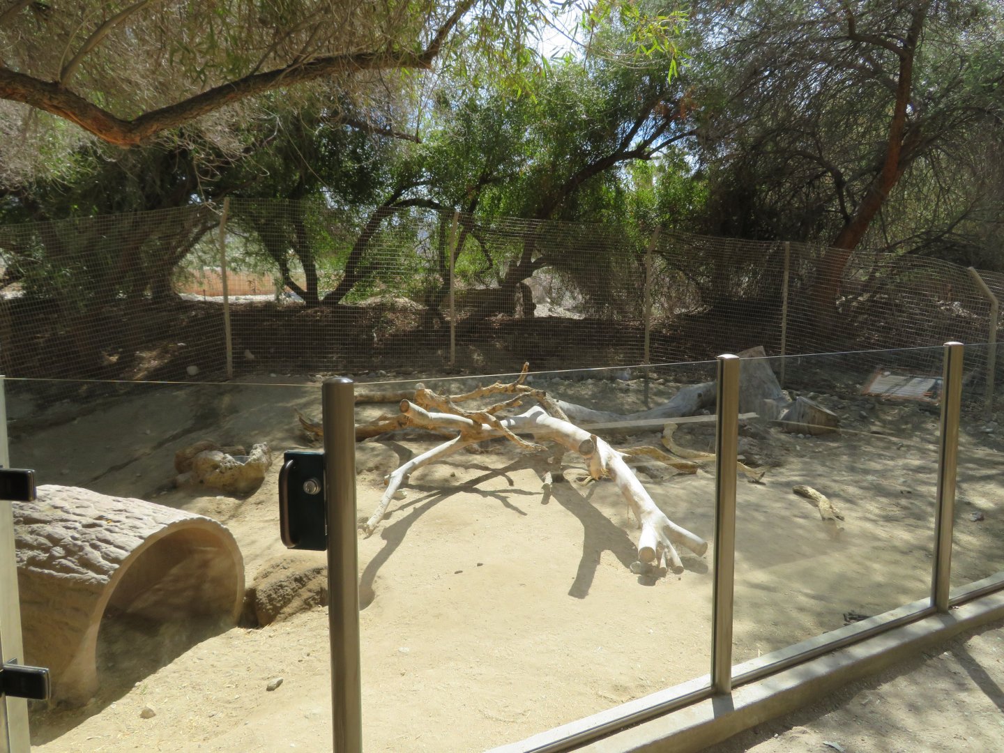 African Porcupine Exhibit