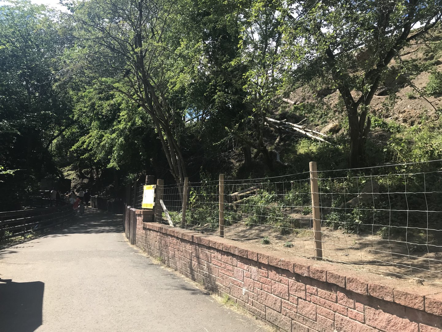 African pygmy goat enclosure (2)