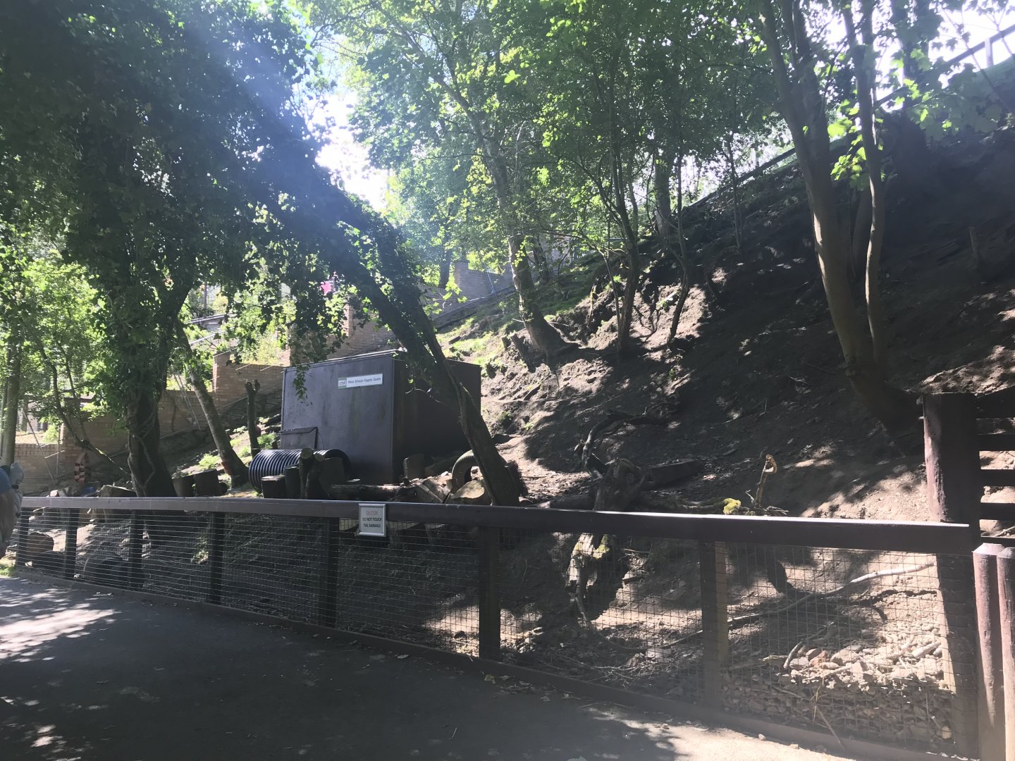 African pygmy goat enclosure (3)