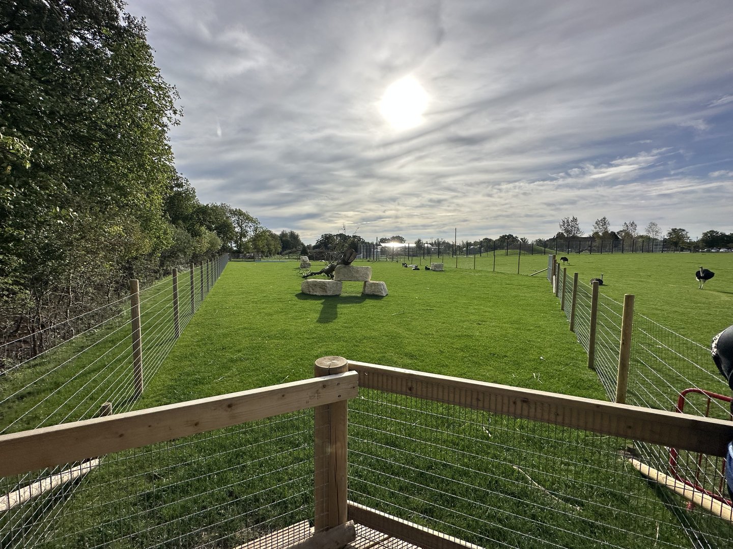 African Pygmy Goat Enclosure at Johnsons of Old Hurst (October 2023)