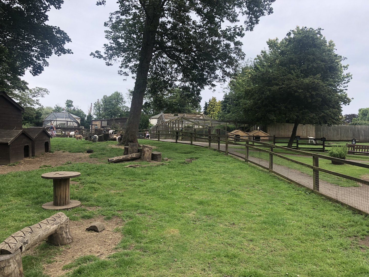African Pygmy Goat Enclosure at Sewerby Zoo (June 2023)