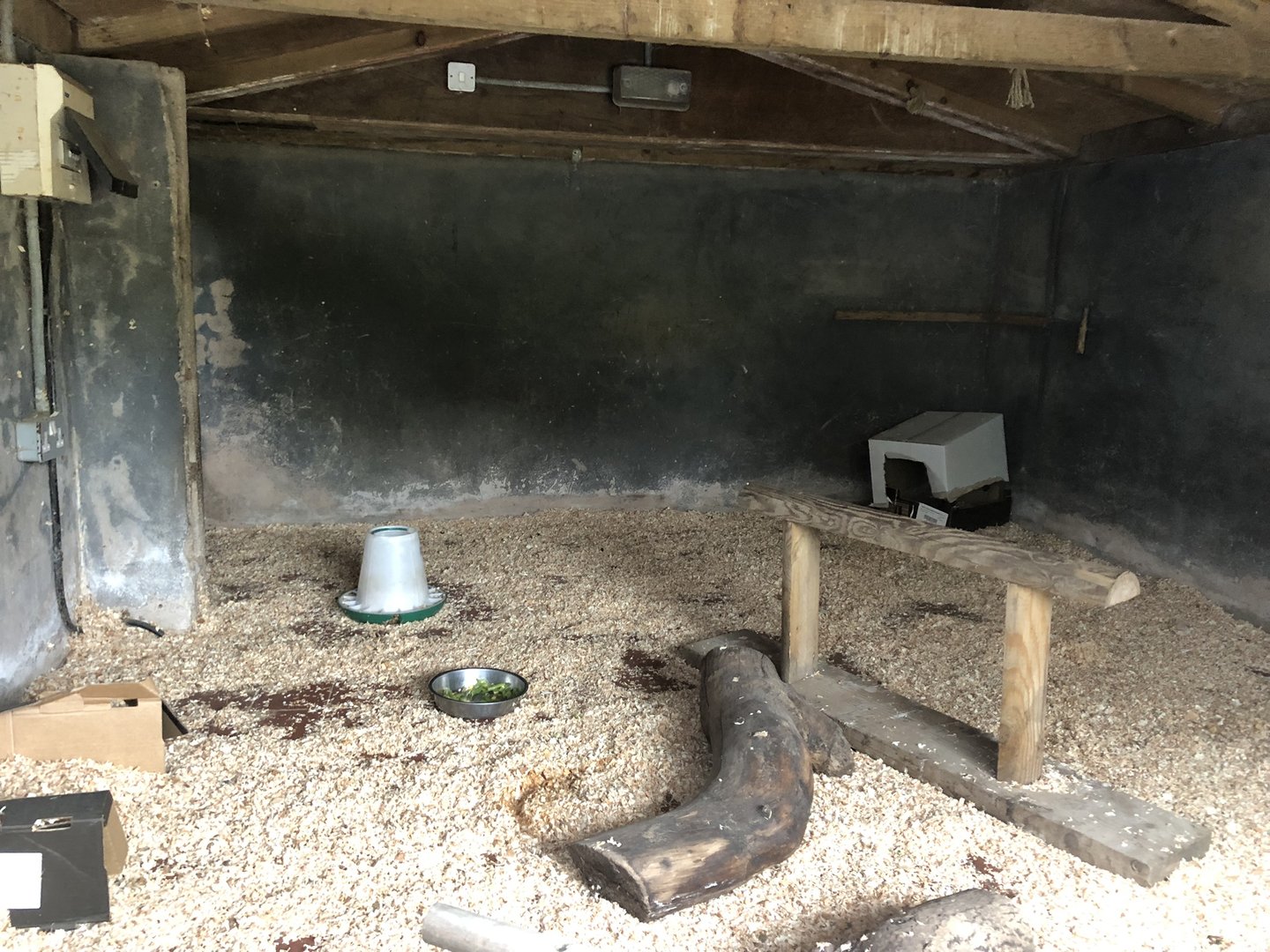 African Pygmy Goat Indoor Enclosure at Peak Wildlife Park (August 2023)