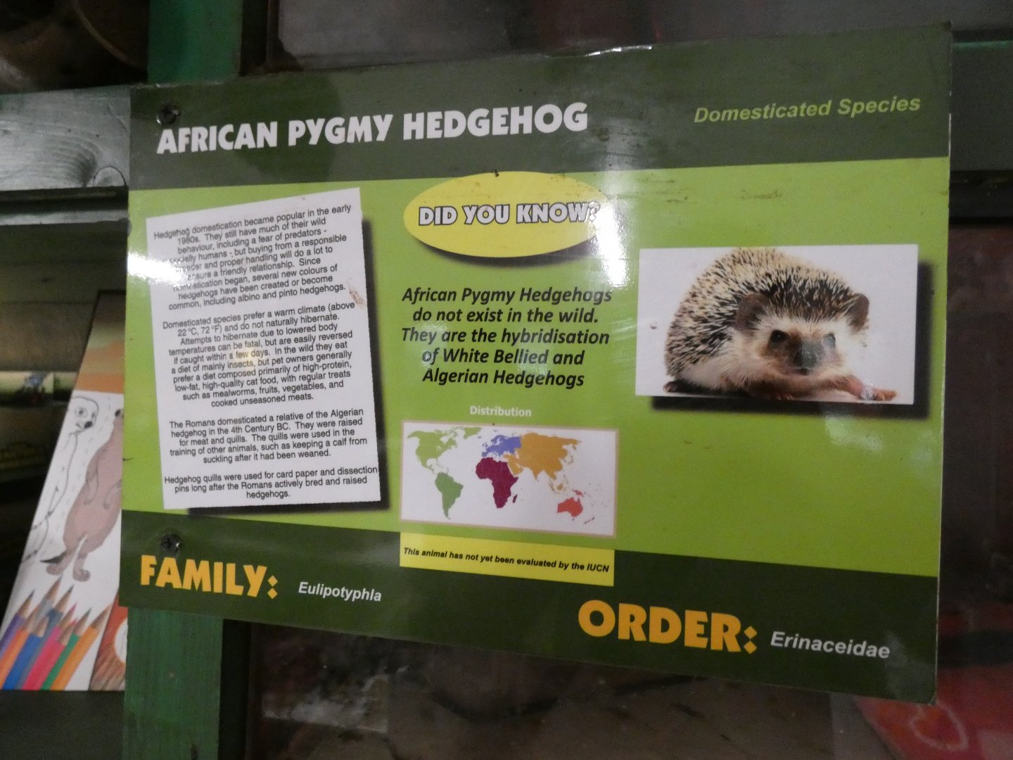 African Pygmy Hedgehog Signage