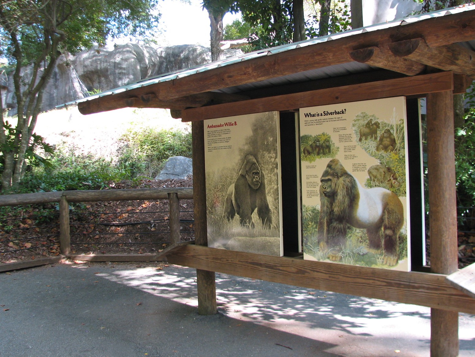 African Rain Forest - Gorilla Sign