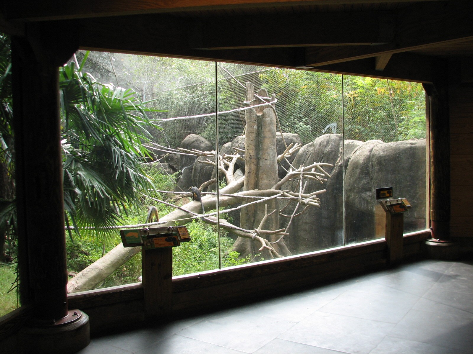 African Rain Forest - Living Treehouse Interior