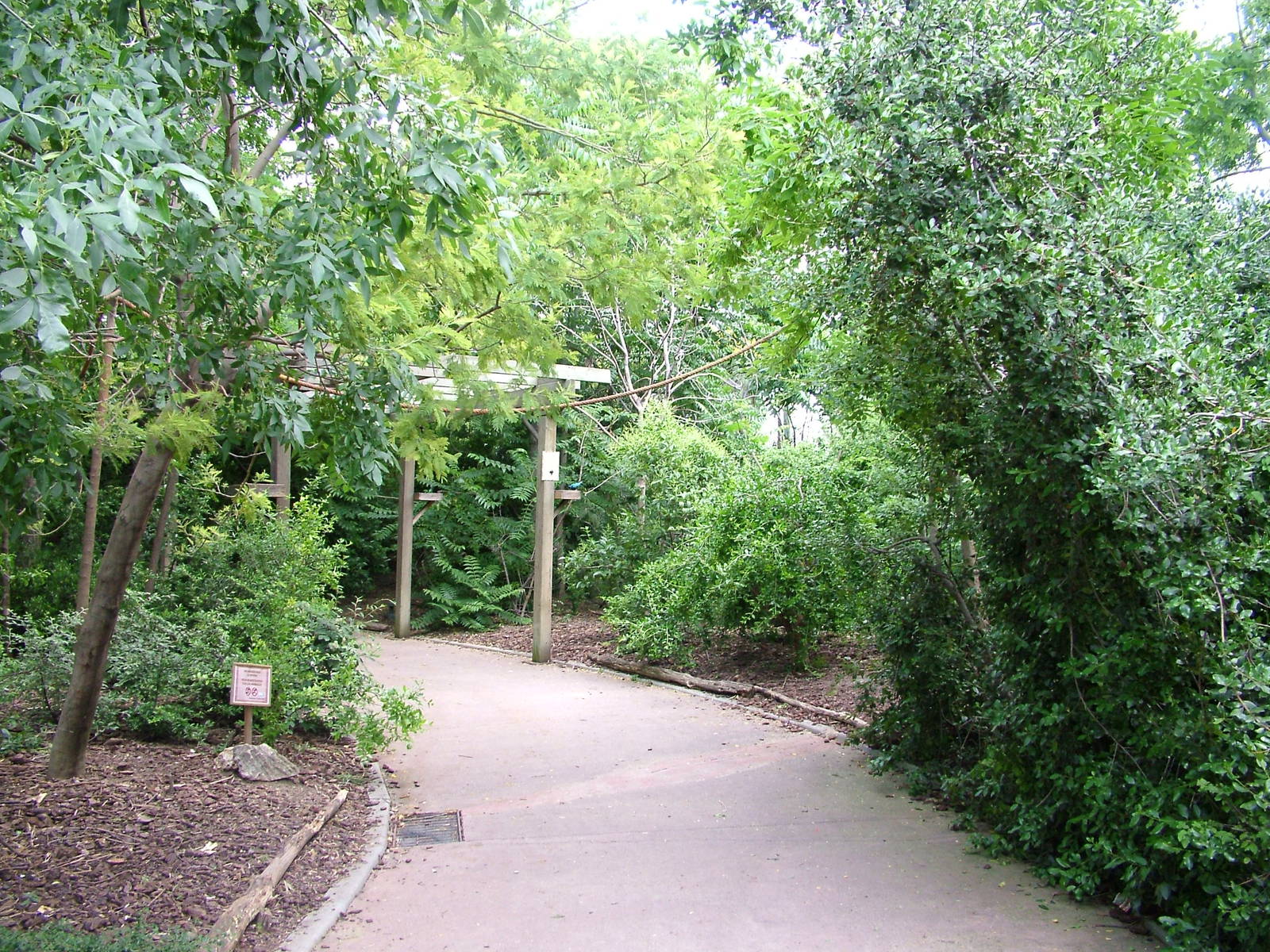 African Rainforest at Faunia, 27/05/11