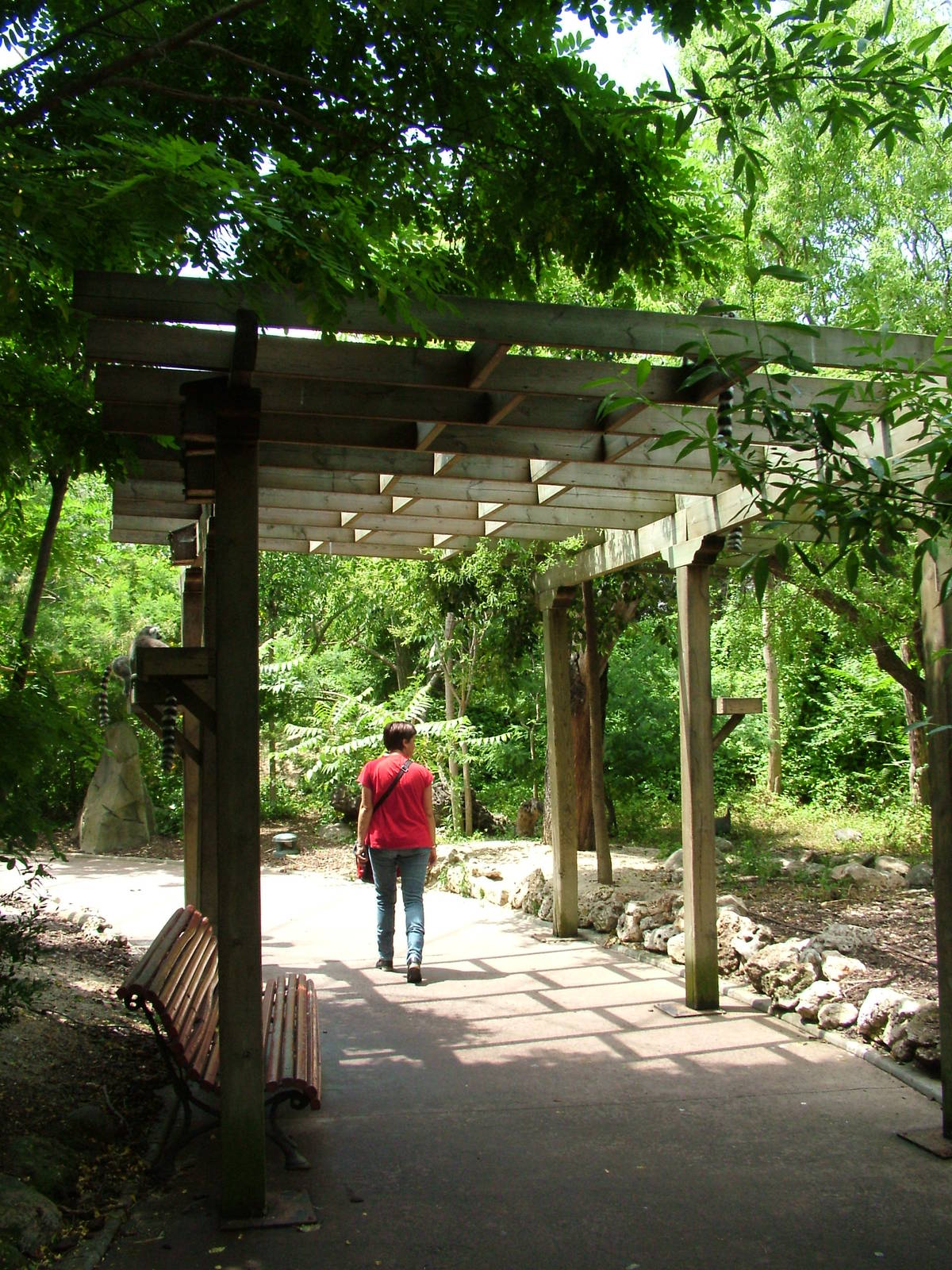 African Rainforest at Faunia, 27/05/11