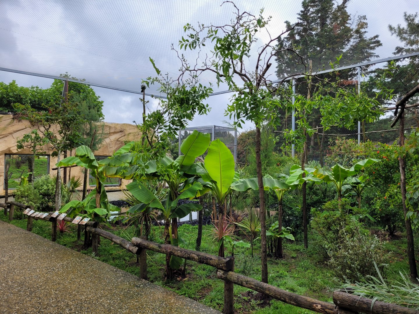 African rainforest aviary -Zoo du bassin d'Arcachon (2024)