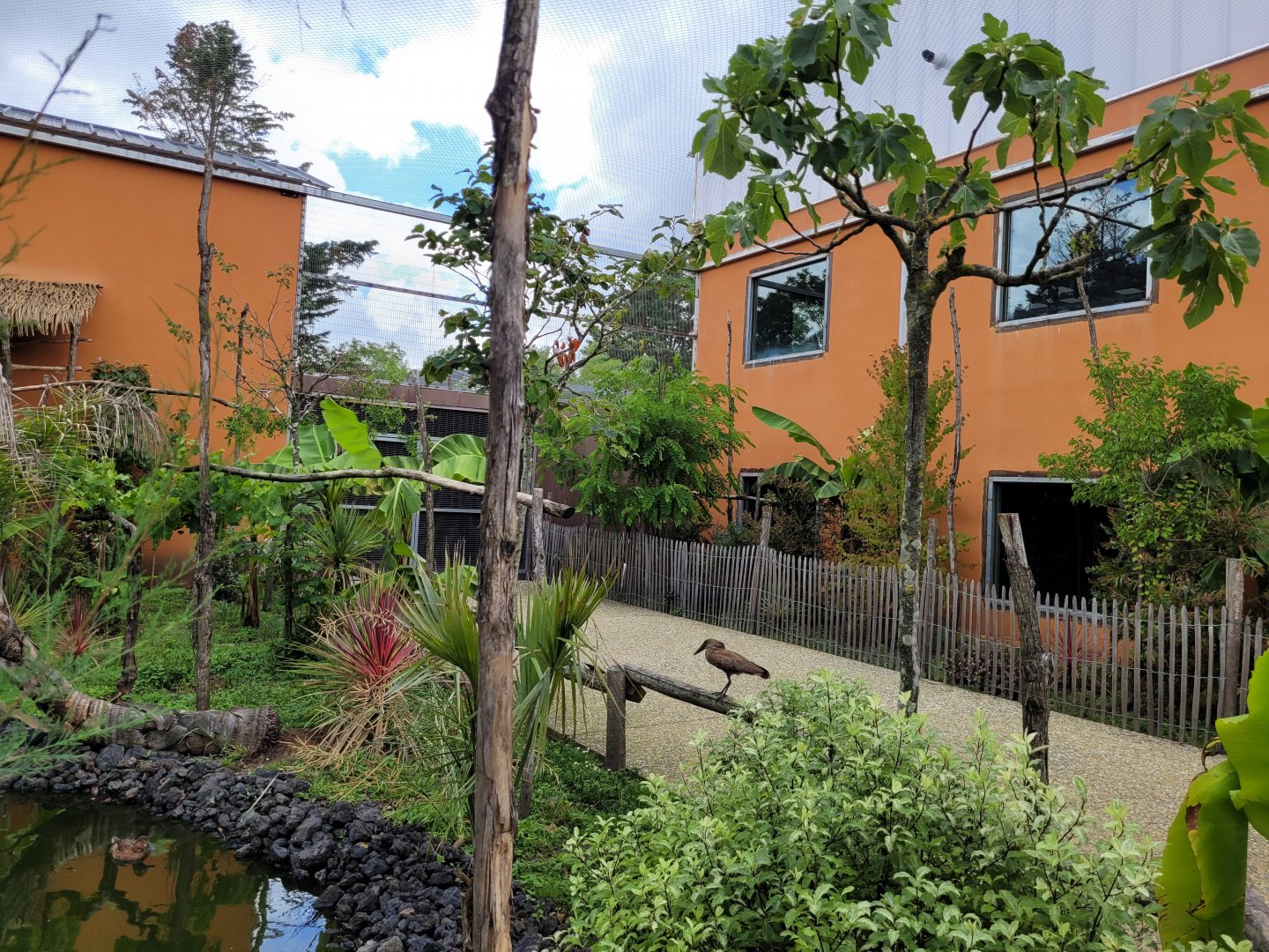 African rainforest aviary -Zoo du bassin d'Arcachon (2024)