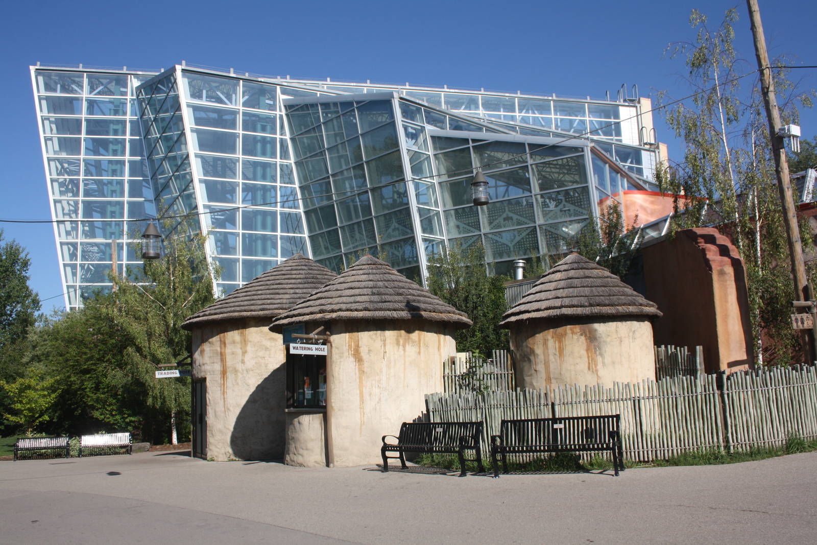 African Rainforest Building