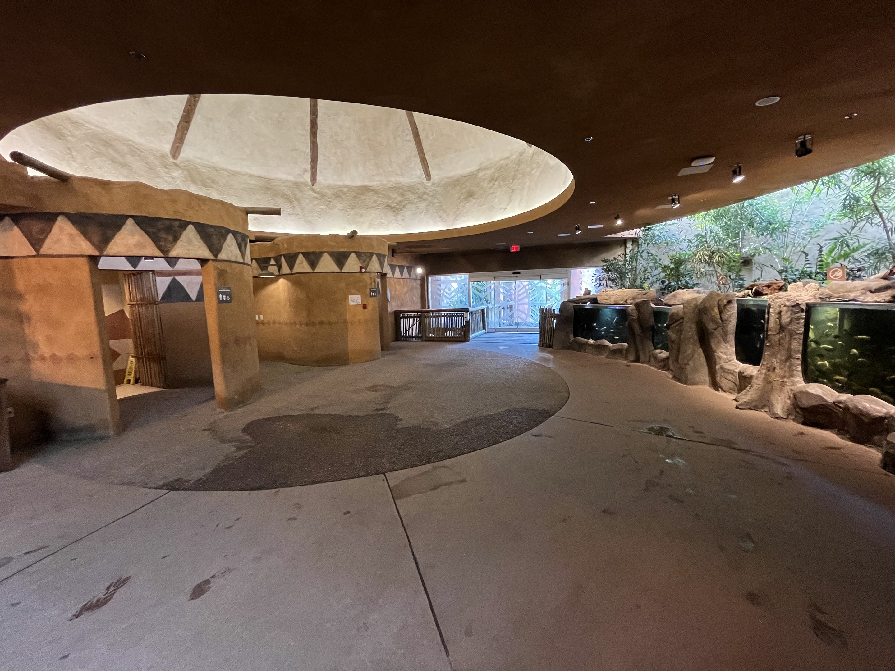 African Rainforest Building